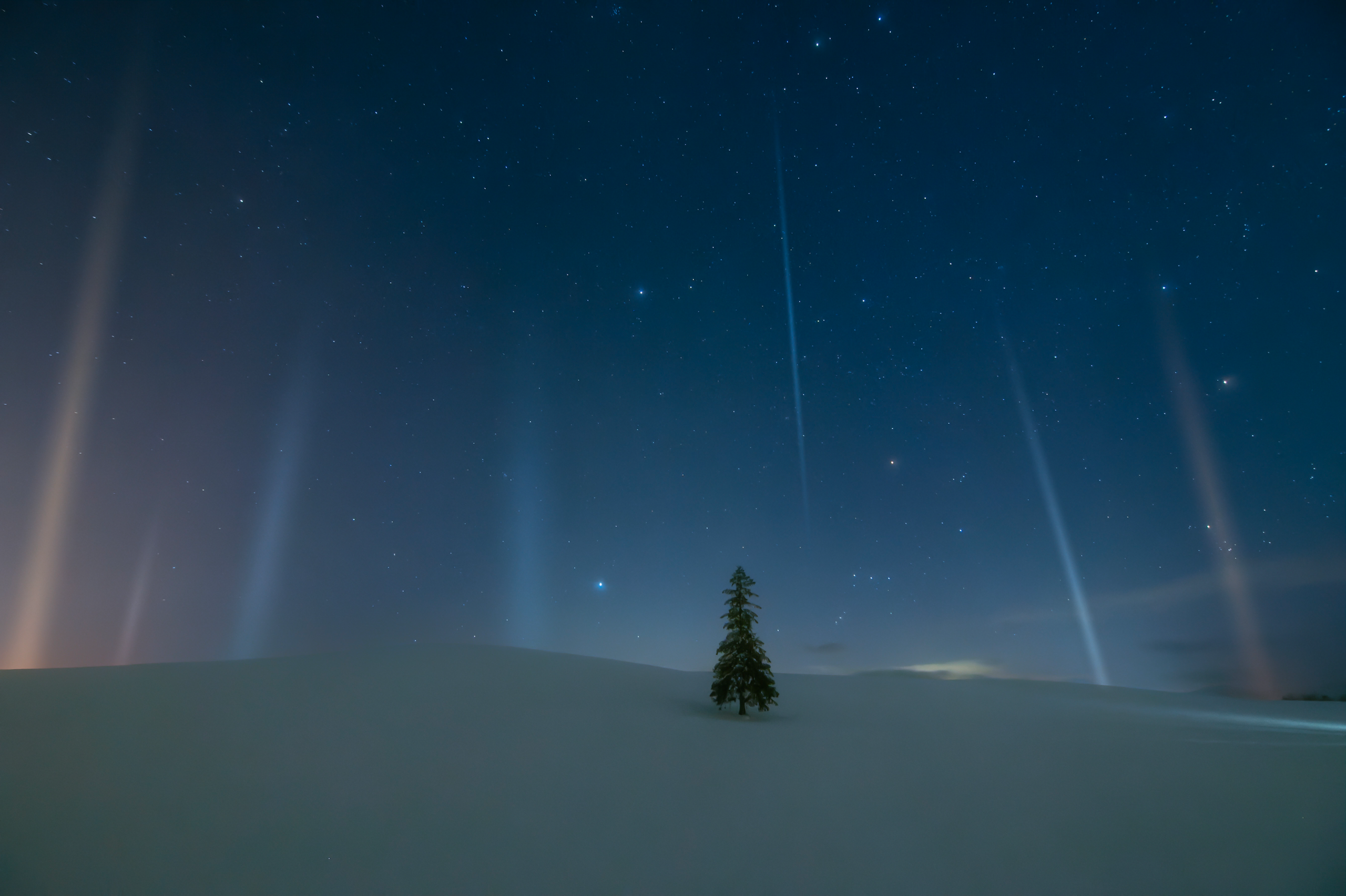 2024-03-winter-magic-image-20