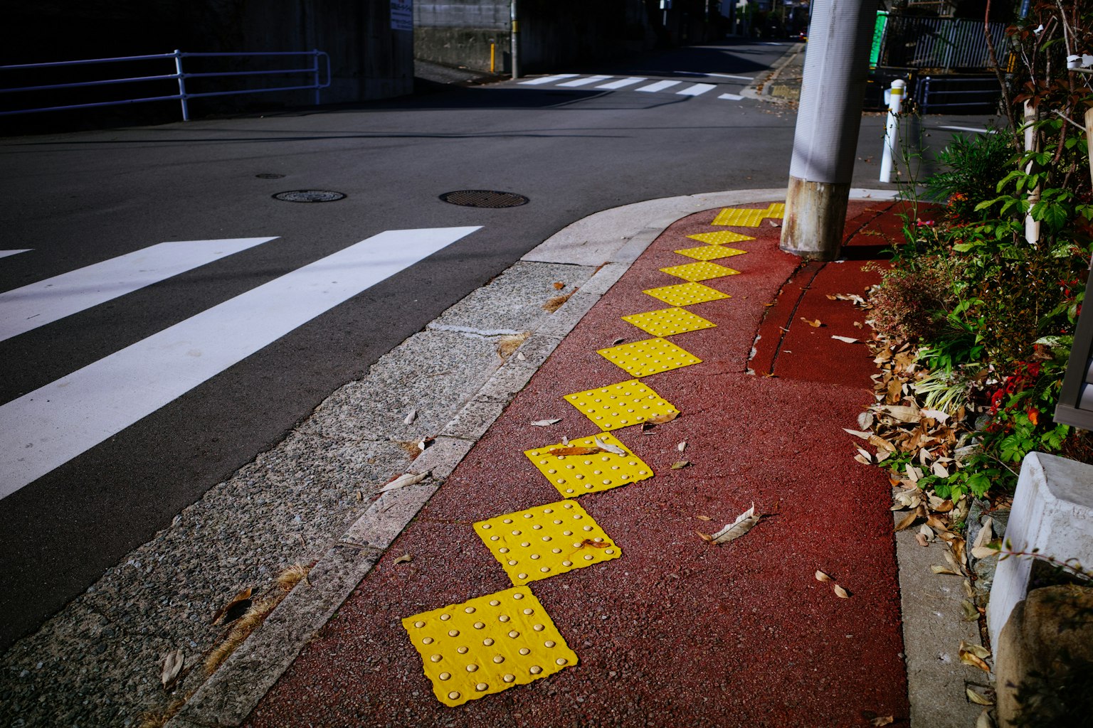 2024-01-find-patterns-award-image-10