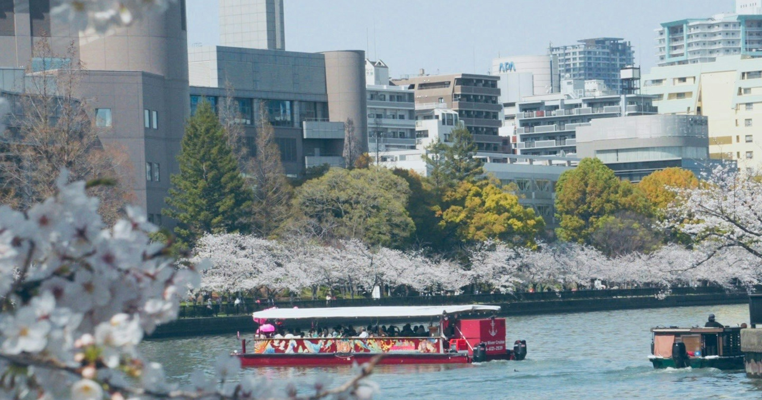 【Open Call】März-Ausstellung in Osaka | Zeigen Sie Ihr Foto als Poster | Release #738