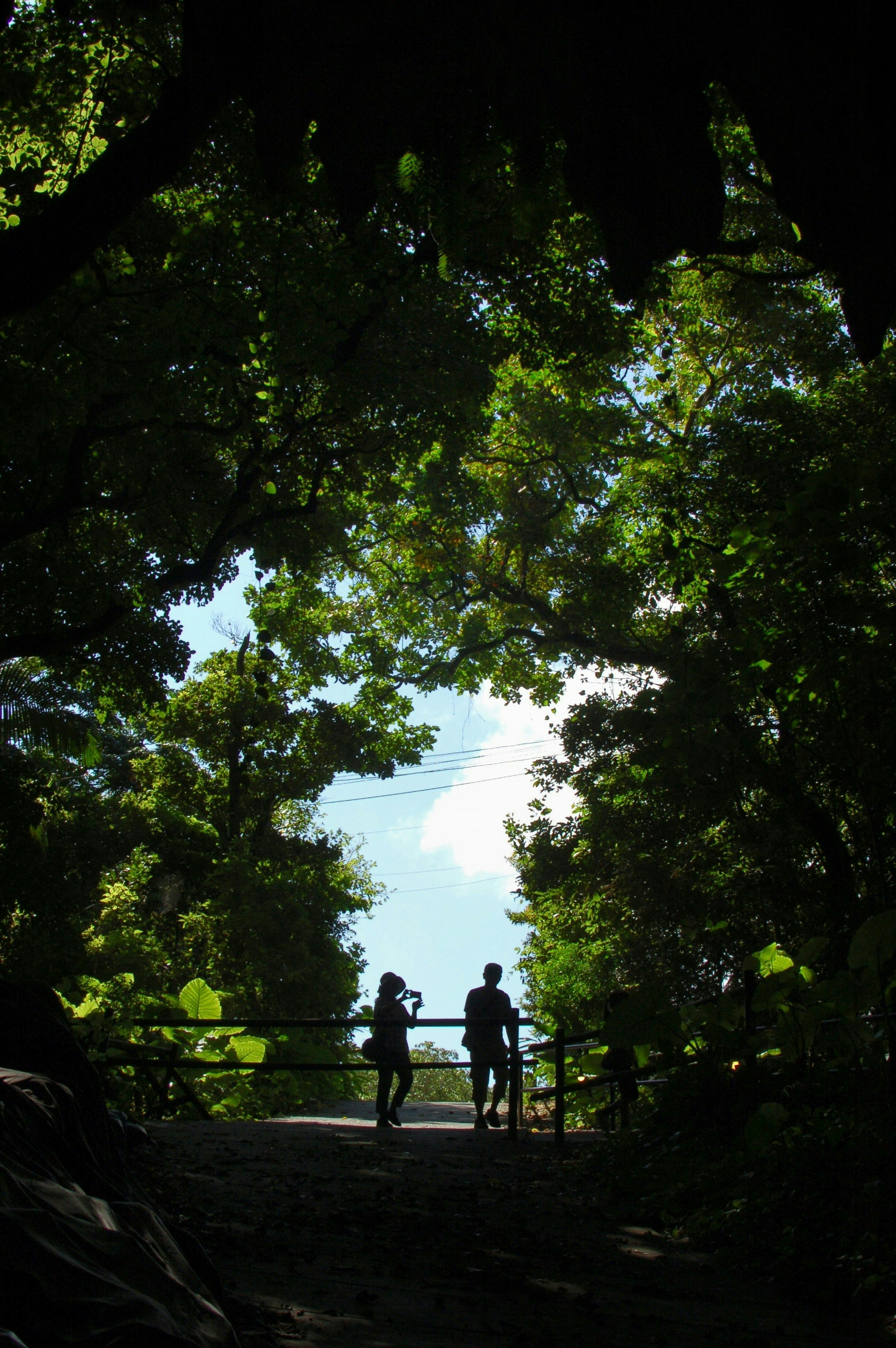 2025-07-summer-green-image-10