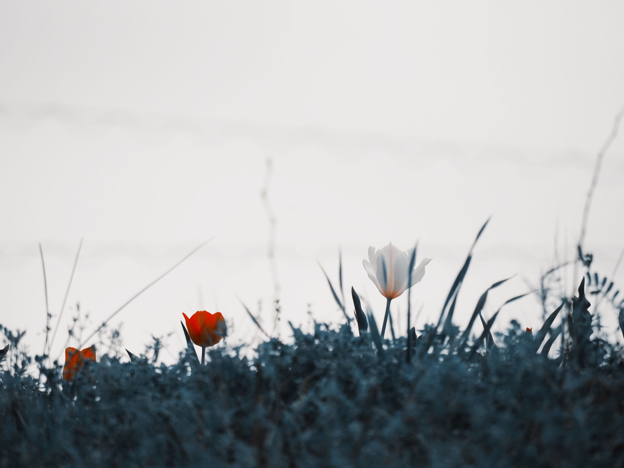 2023-05-spring-into-action-award-cover-image