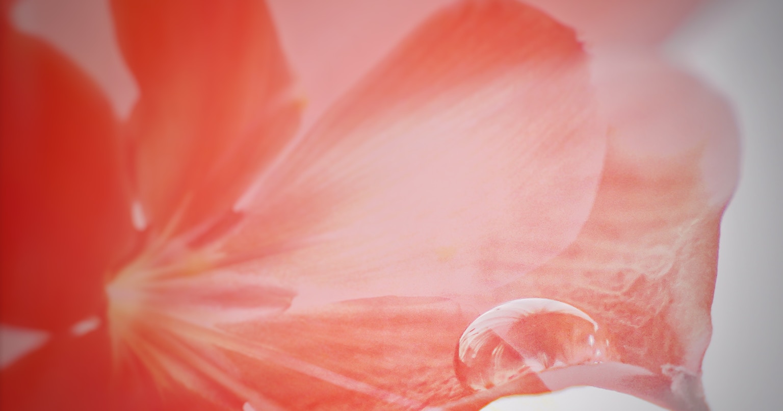 สร้างวิดีโอจากข้อความด้วย "Movie Gen" จะถูกนำไปใช้ใน Instagram หรือไม่? | Release #332
