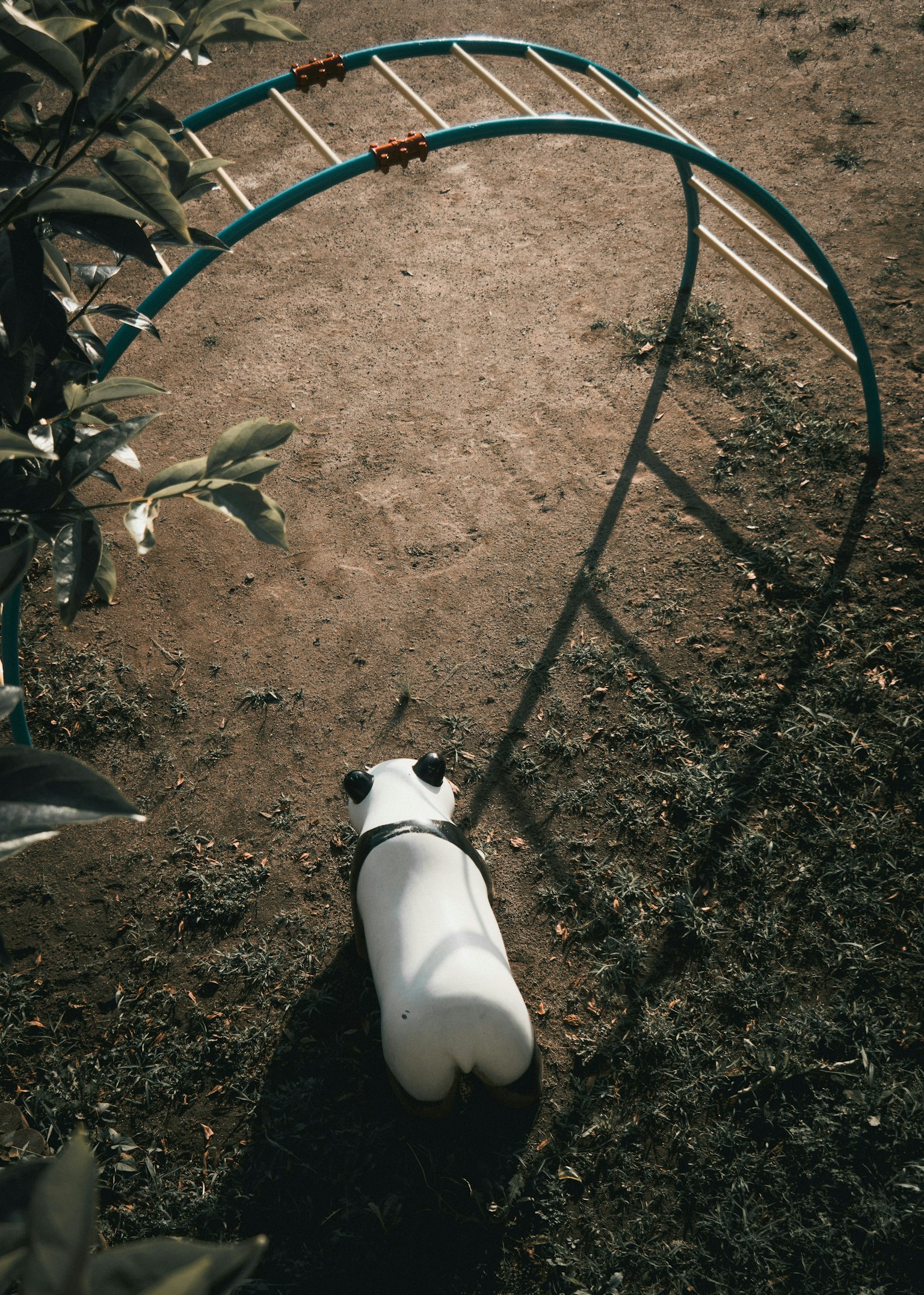 2025-11-spotlight-takahashi-watanabe-shirakawa-image-6