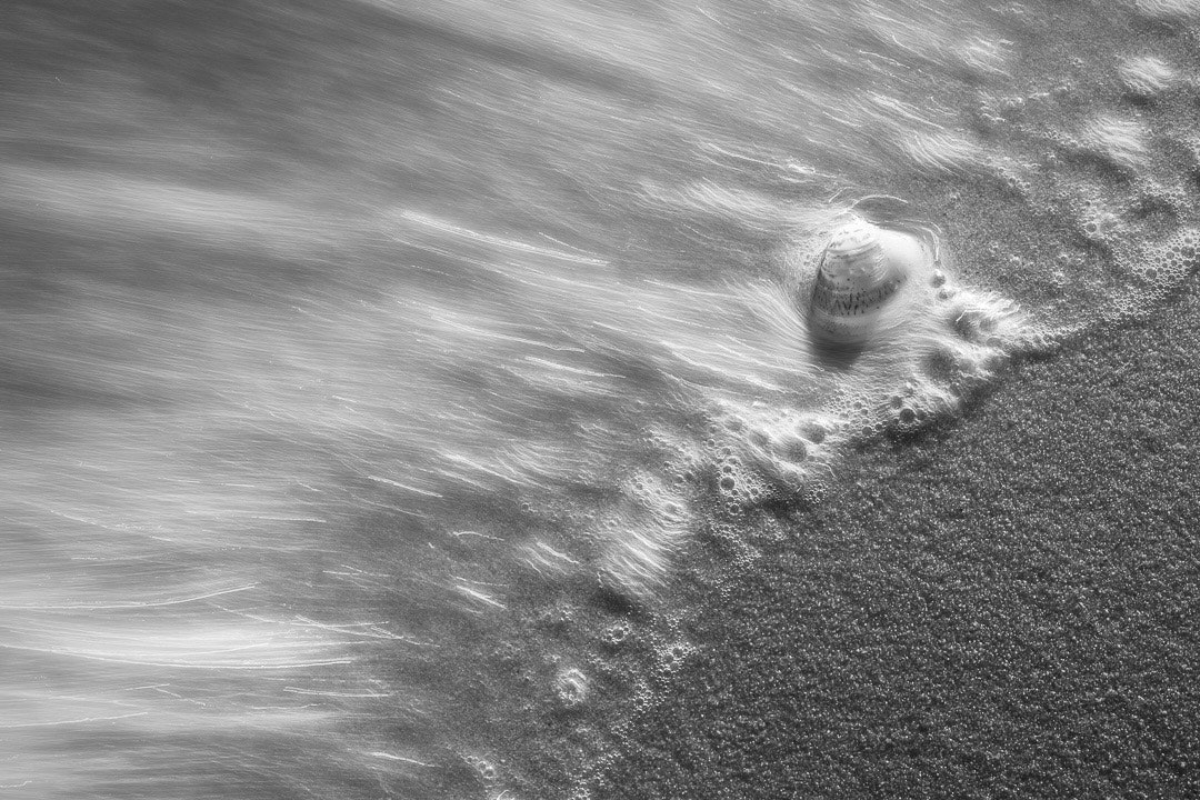 2025-09-photo-contest-pr-2-image-4