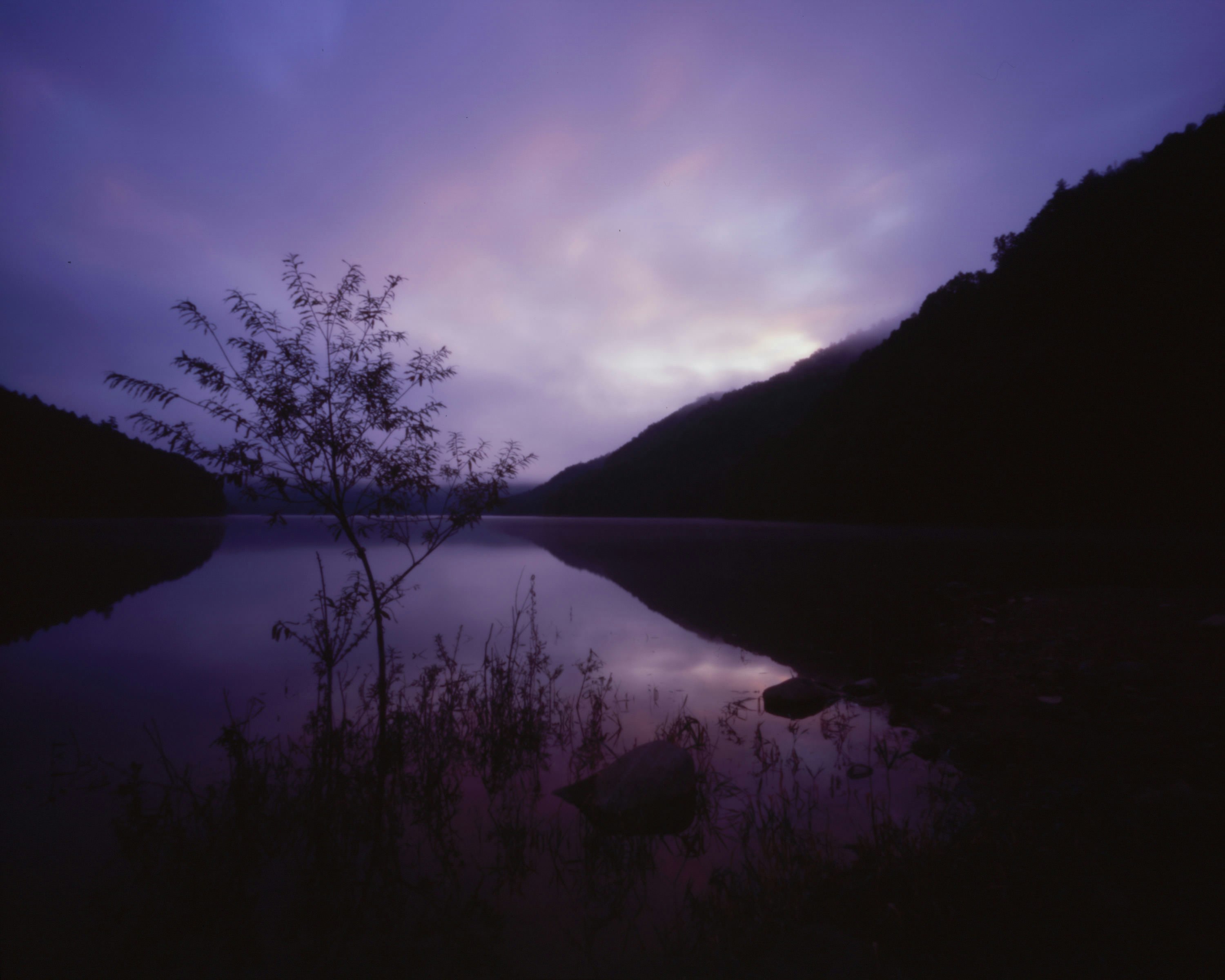 2024-10-polaroid-600-film-image-5