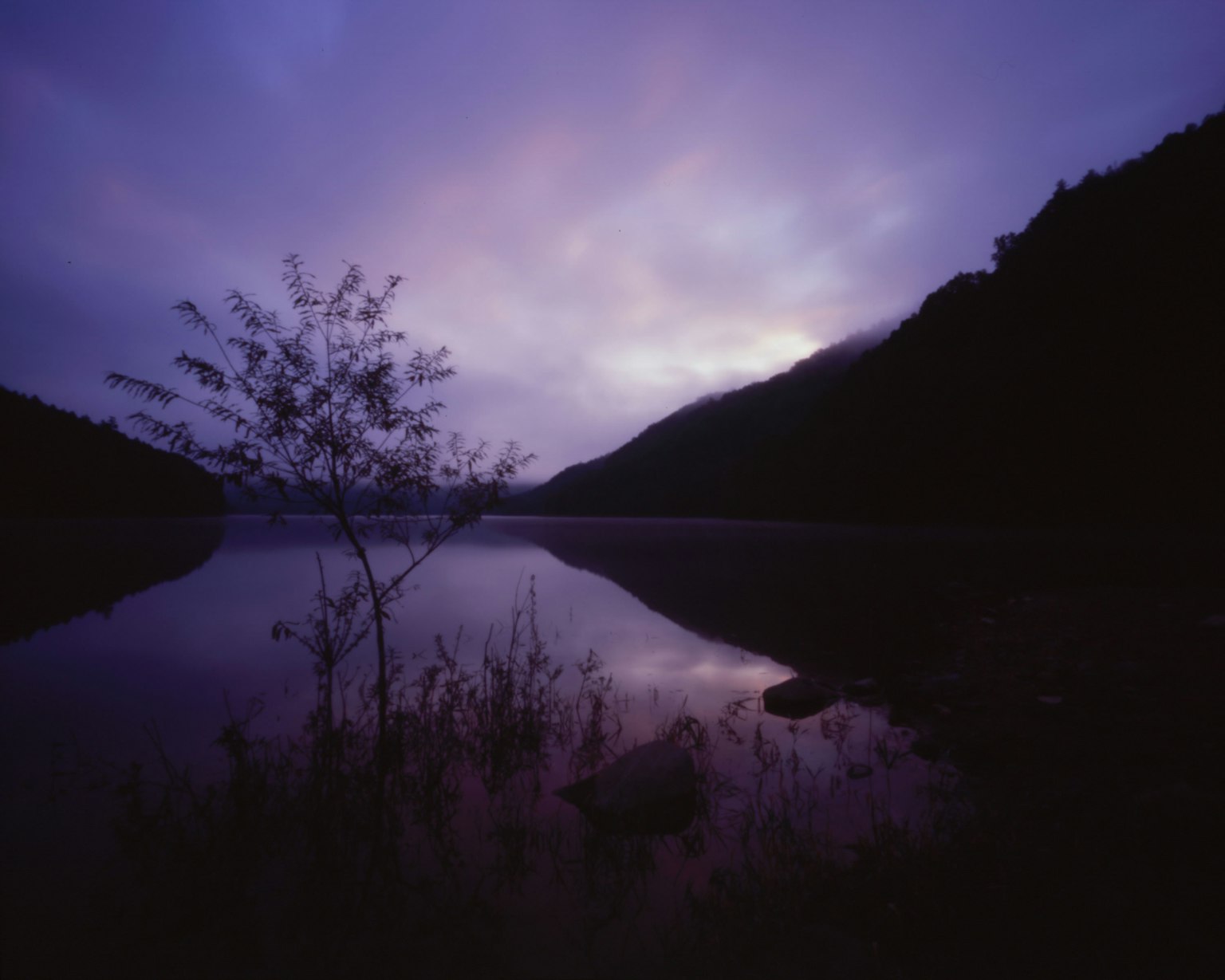 2024-10-polaroid-600-film-image-5