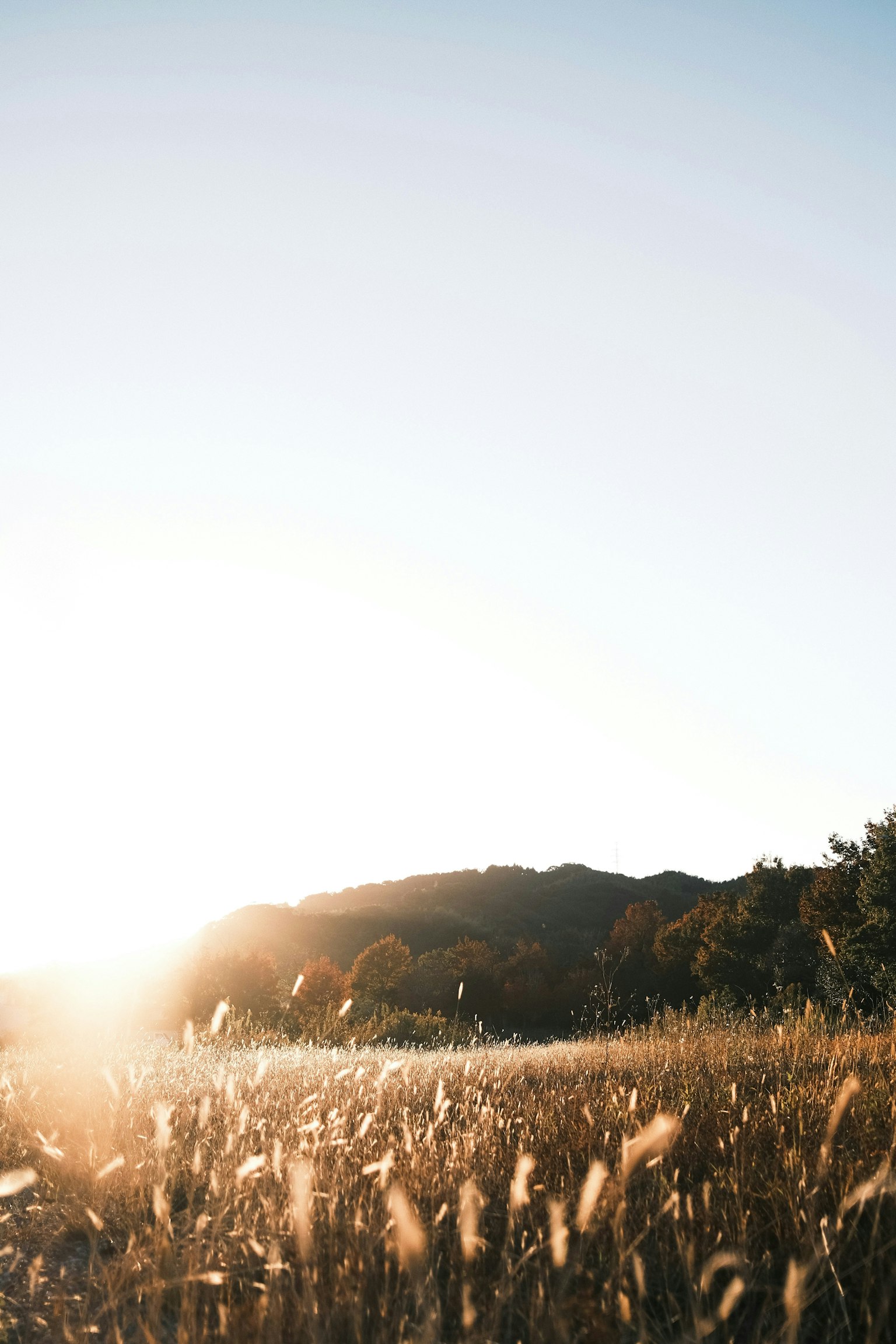 2025-11-youth-lives-within-image-13