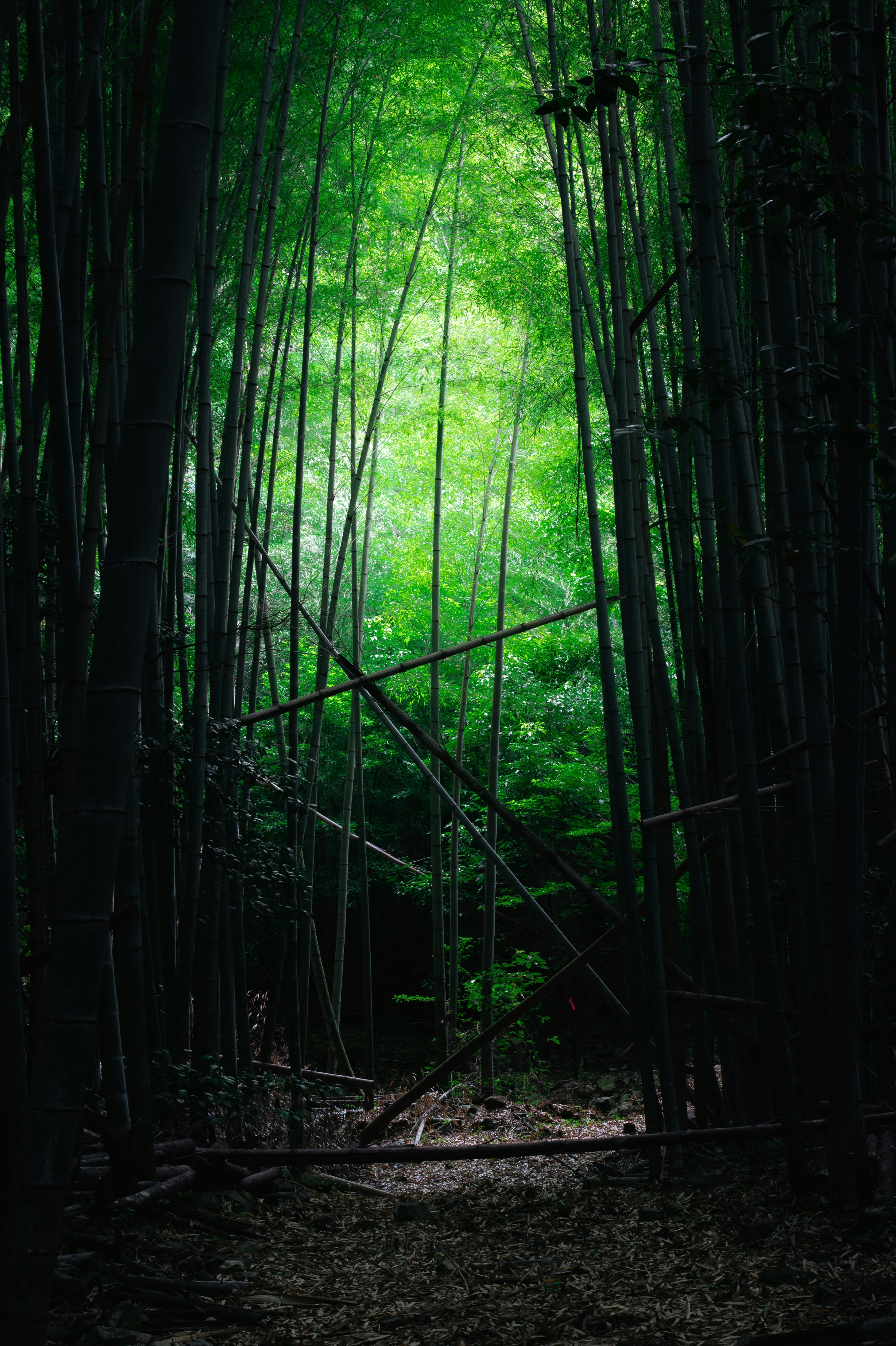 2026-08-find-new-pieces-green-image-20