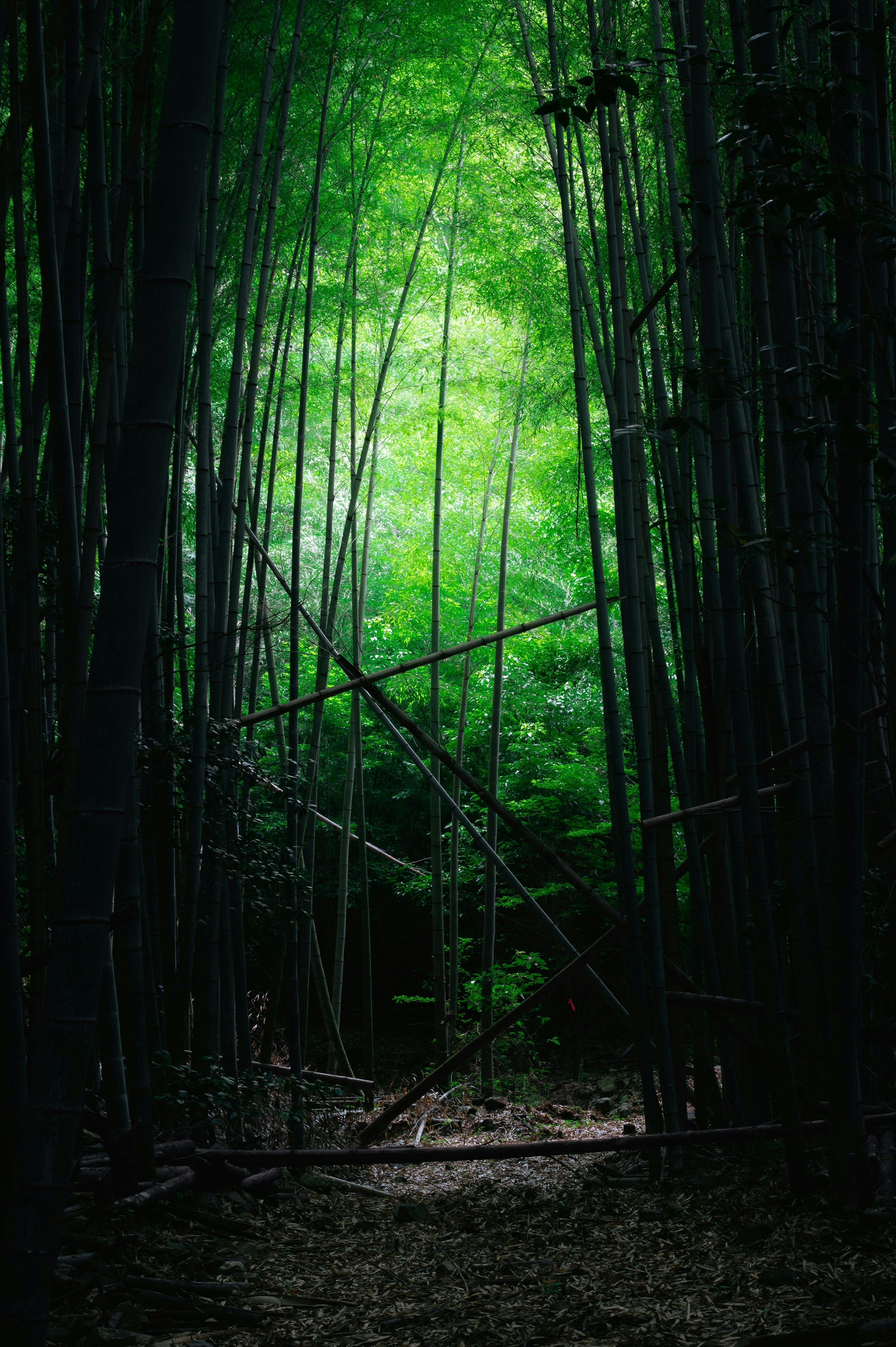 2026-08-find-new-pieces-green-image-20