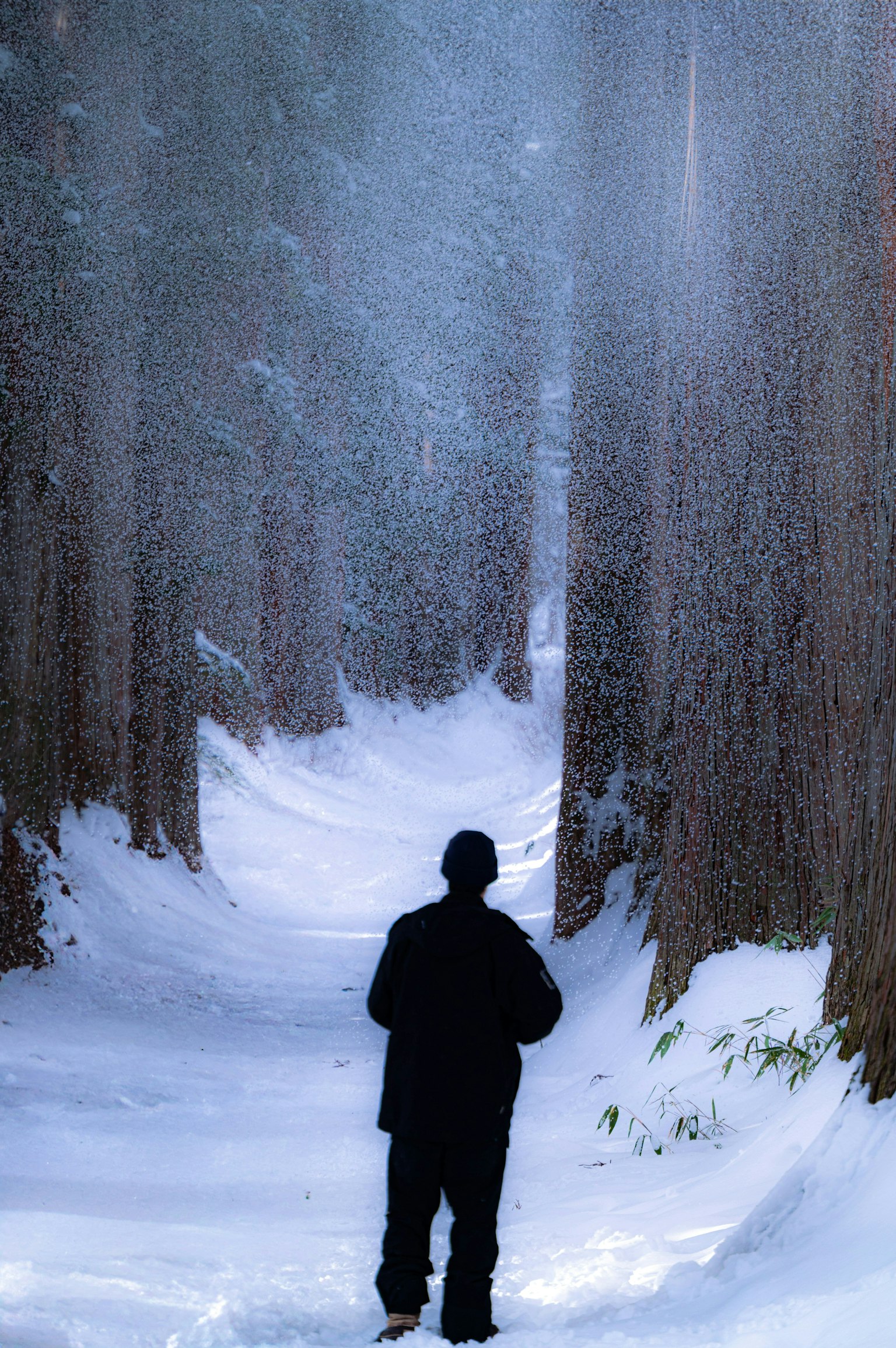 2025-12-december-diary-image-10