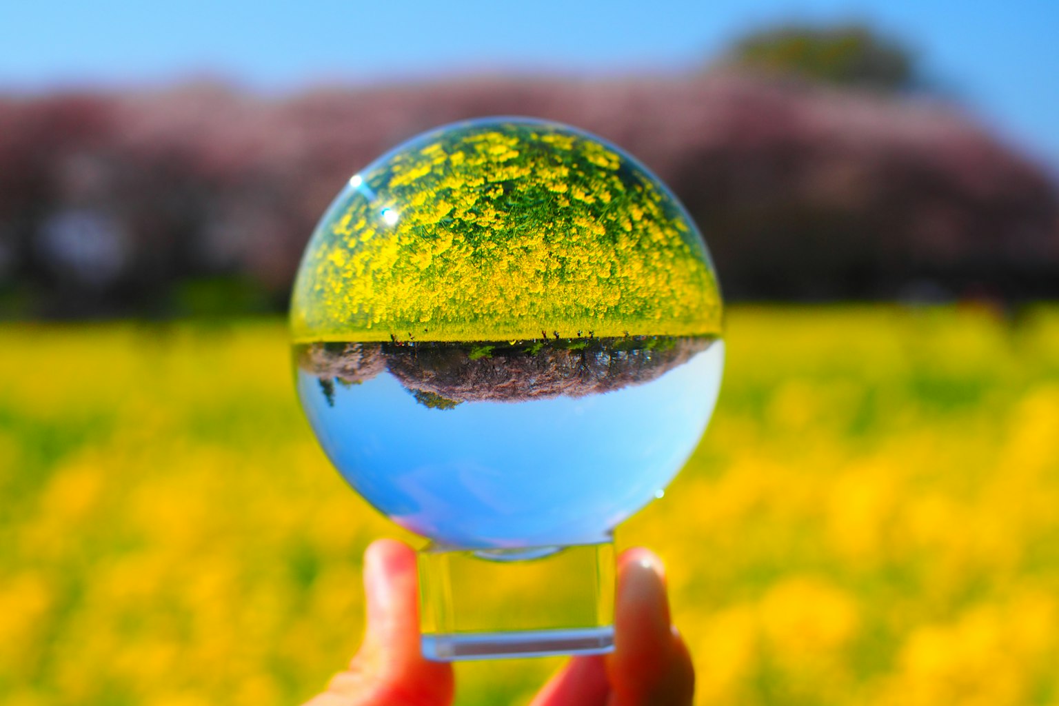 2024-04-soratama-image-11