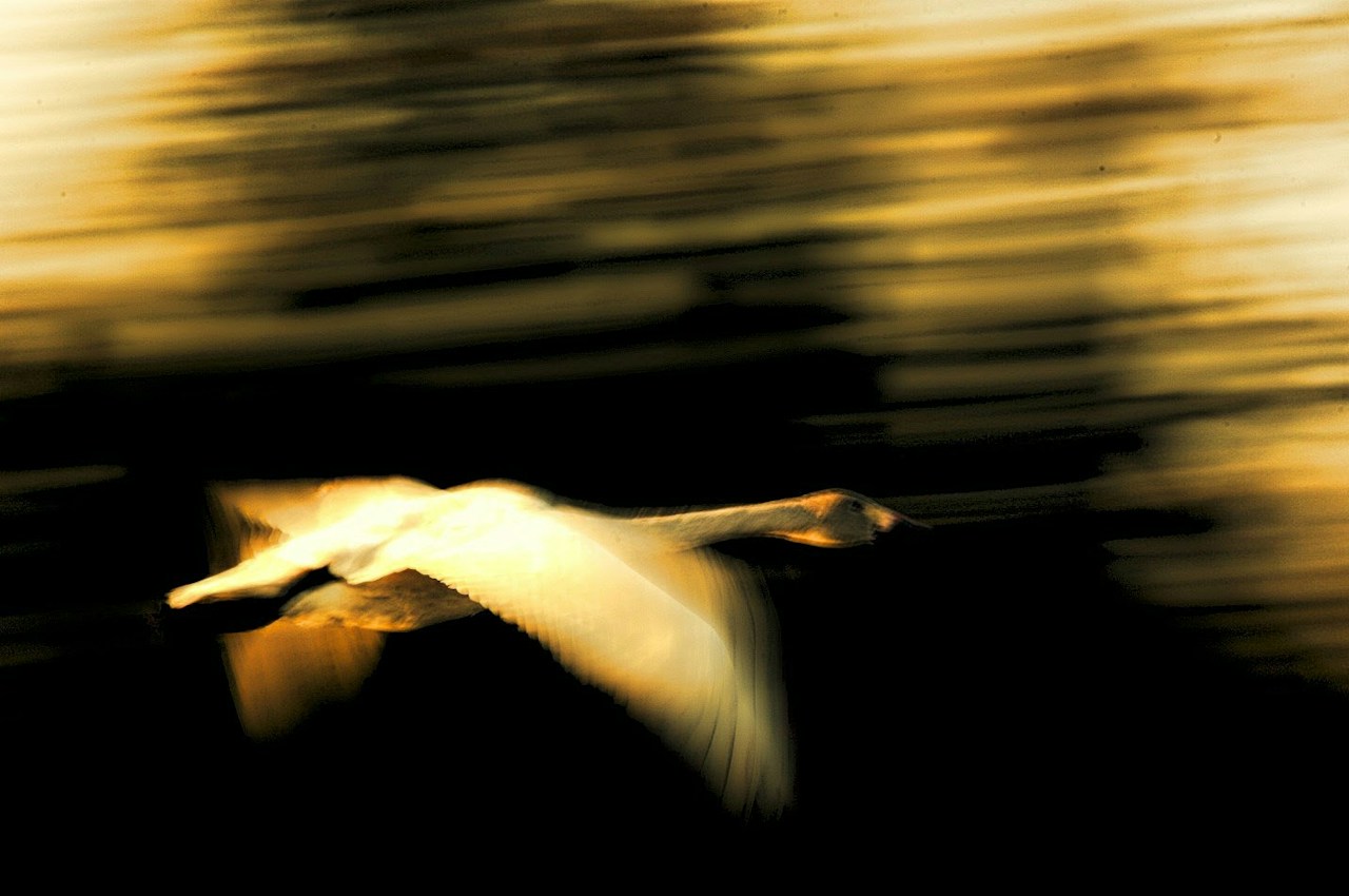 Image by mars