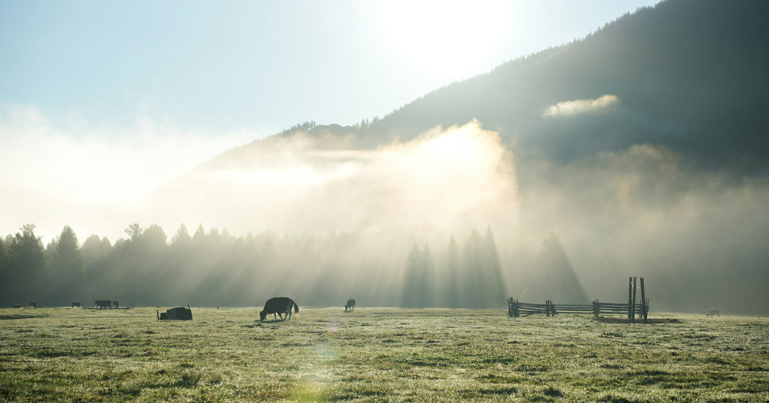 Tecniche per fotografare la nebbia in modo affascinante | Knowledge #140