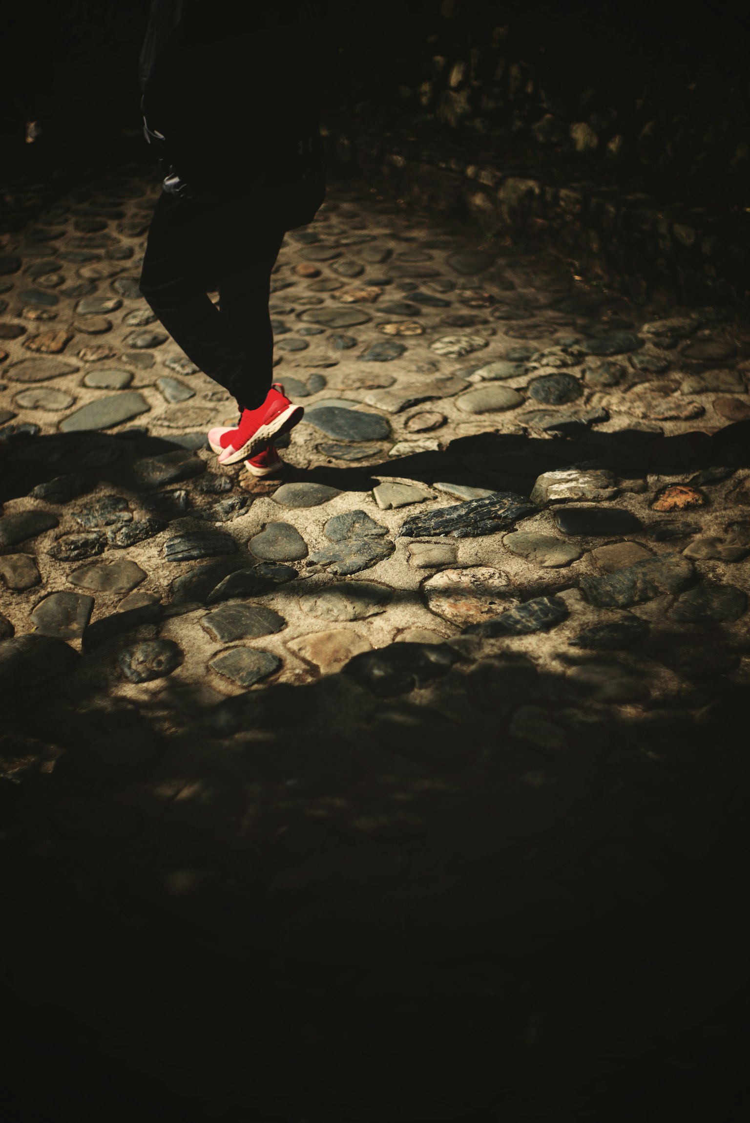 2024-07-beginner-camera-recommendations-image-4