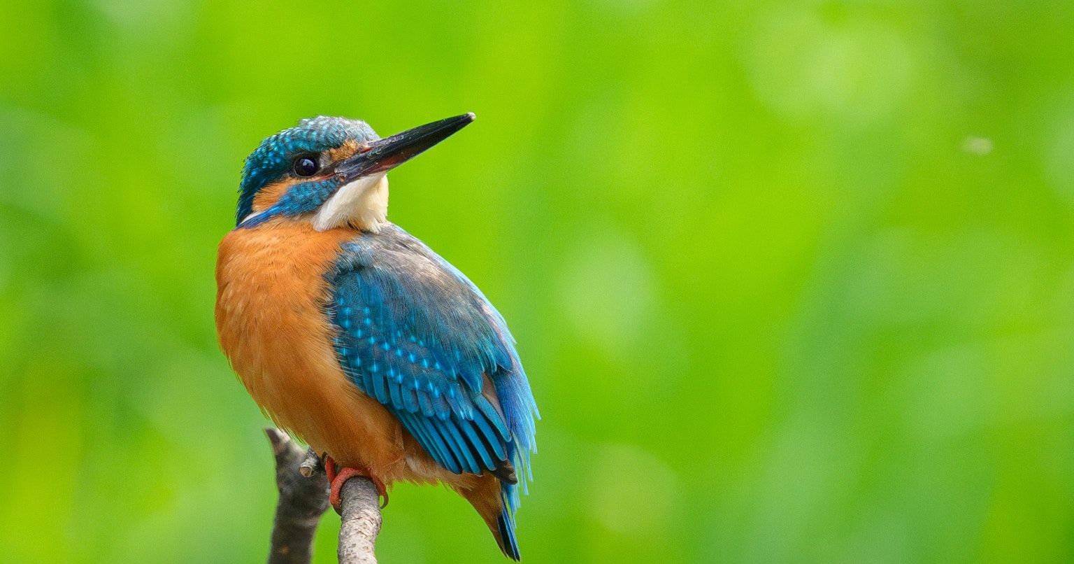 2025-04-masa-10-questions-cover-image