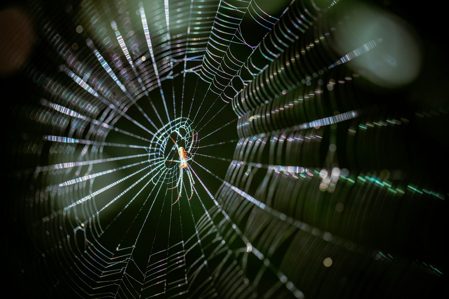 2024-11-circle-report-image-7