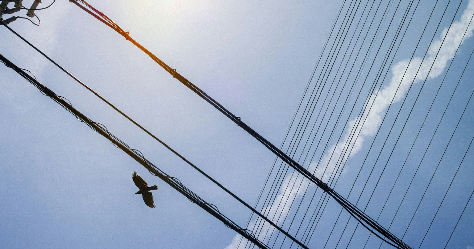 2025-07-line-report-cover-image