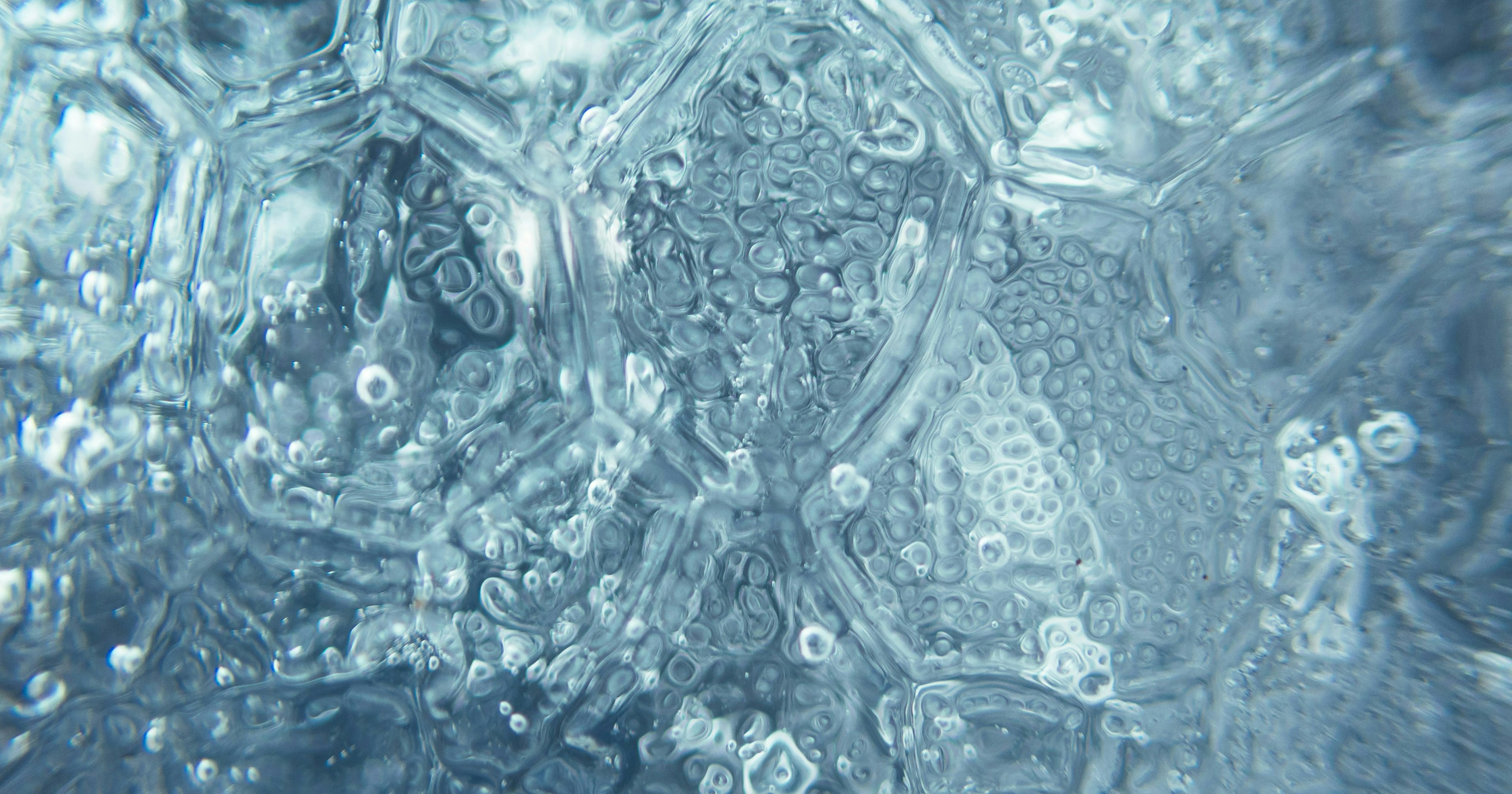 2025-07-remm-captures-underwater-cover-image