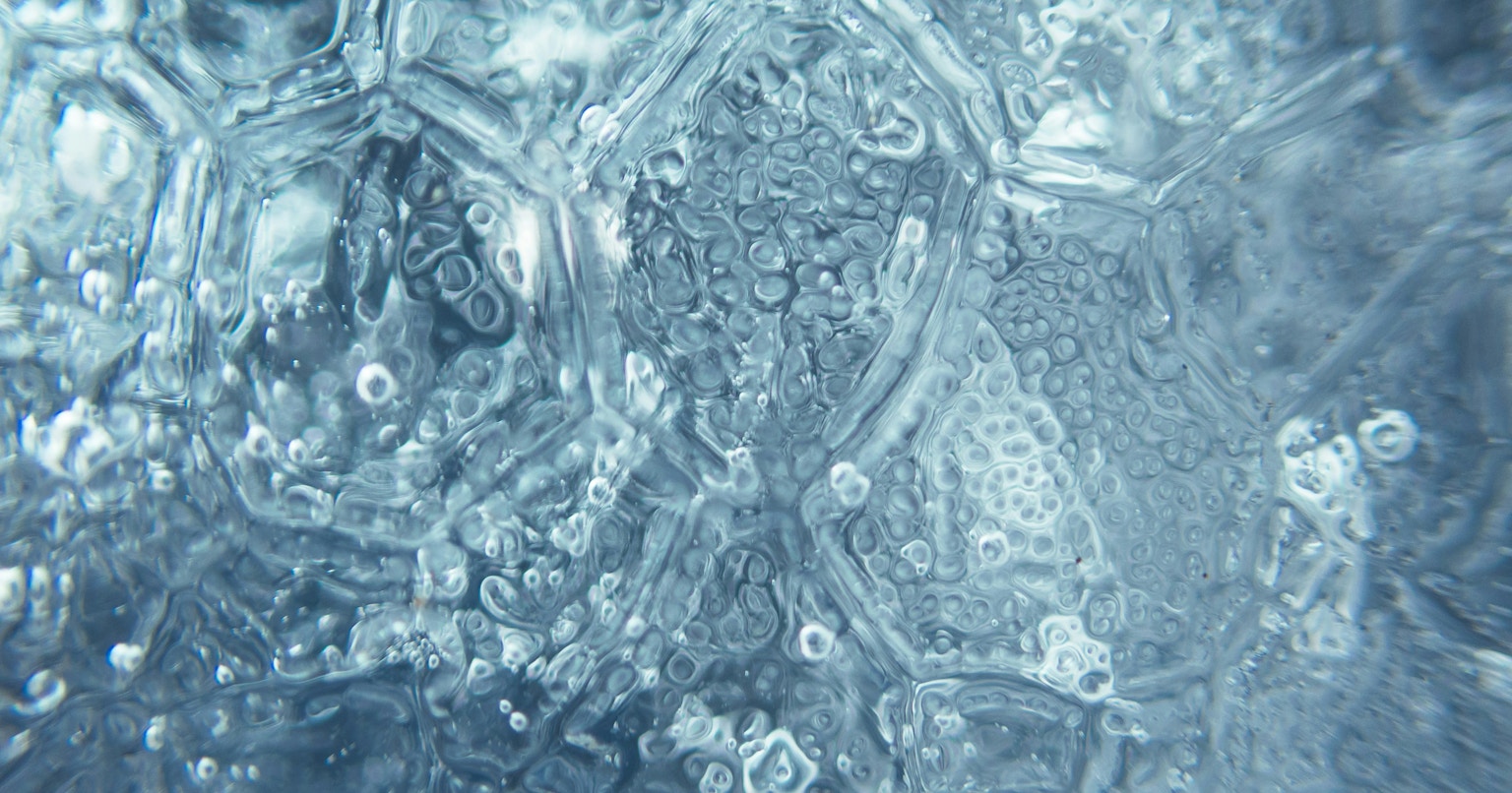 2025-07-remm-captures-underwater-cover-image