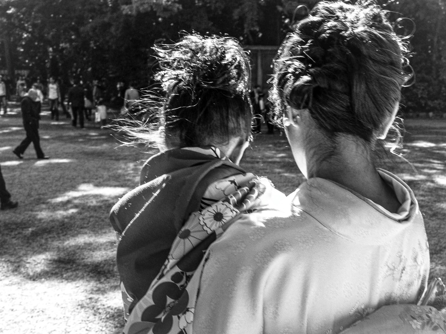 2024-11-november-photography-subjects-image-19