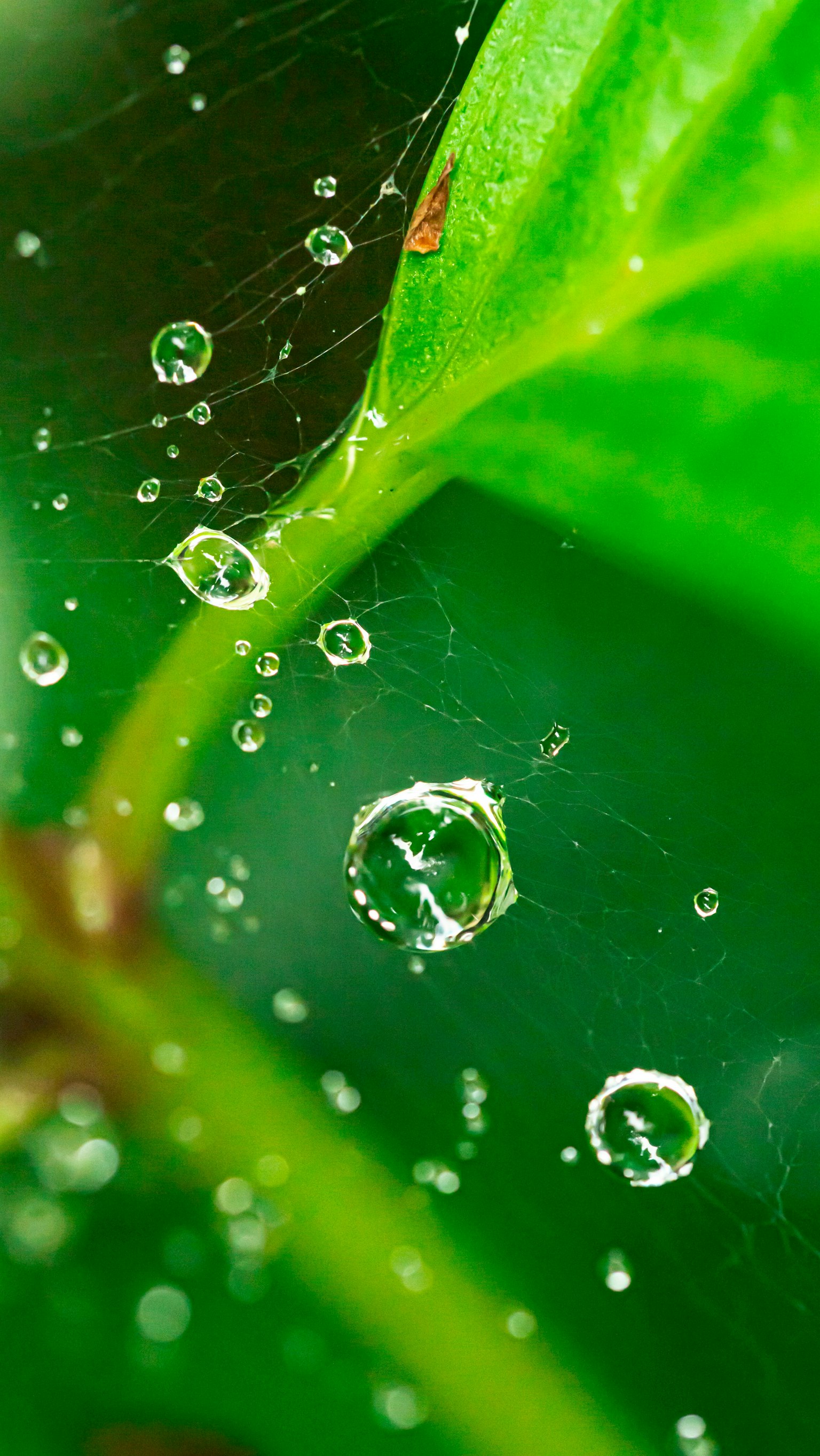 2025-06-photo-contest-pr-1-image-9