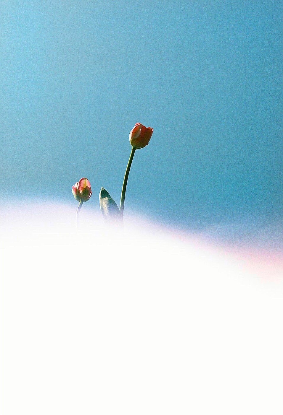 2024-06-film-tutorial-image-10