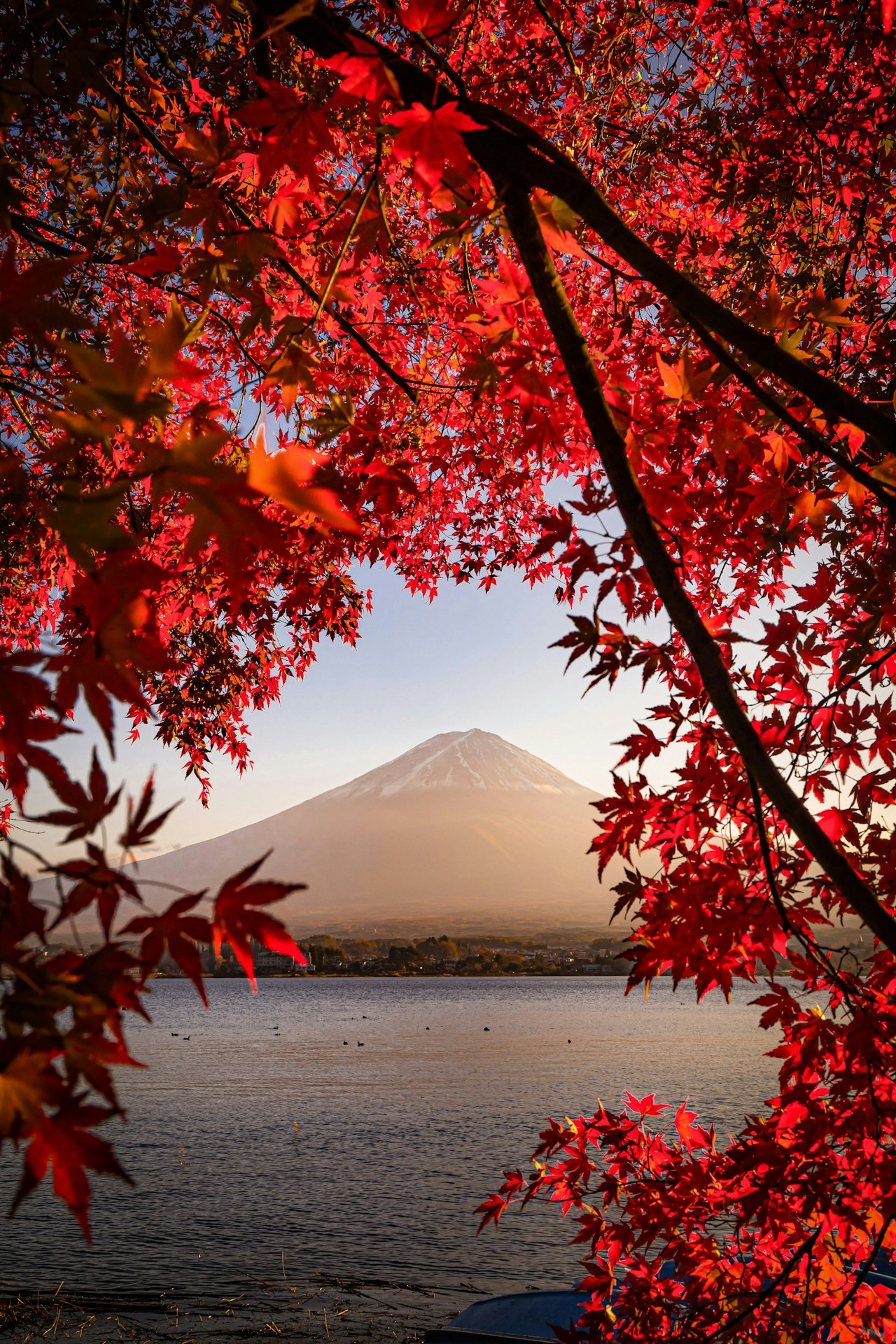 Photo by 橋向真