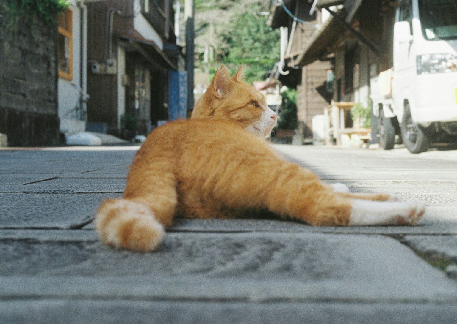 2025-11-centered-composition-report-image-5