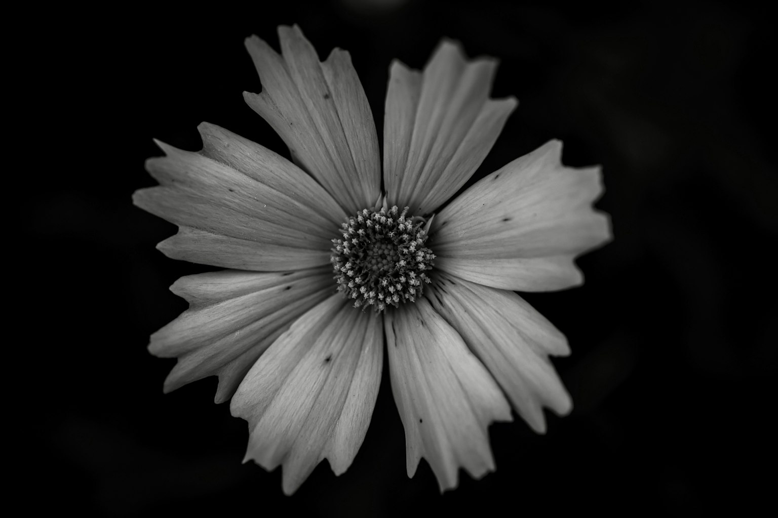 2025-04-instagram-ipad-app-image-8