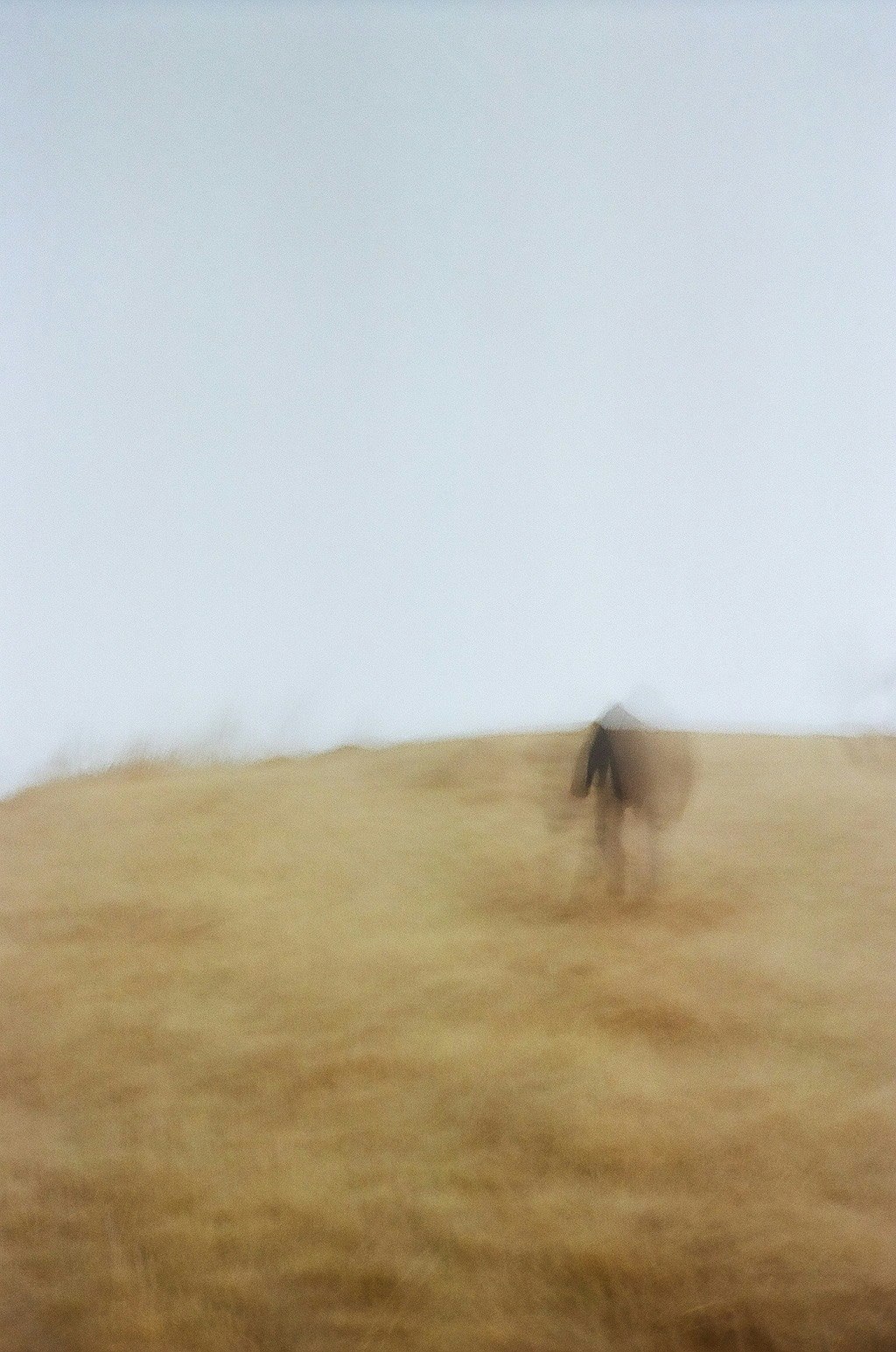 2026-04-bokeh-image-7