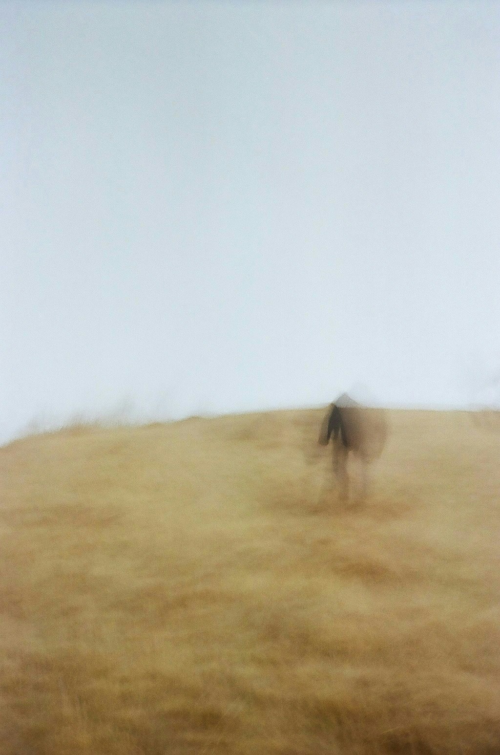 2026-04-bokeh-image-7
