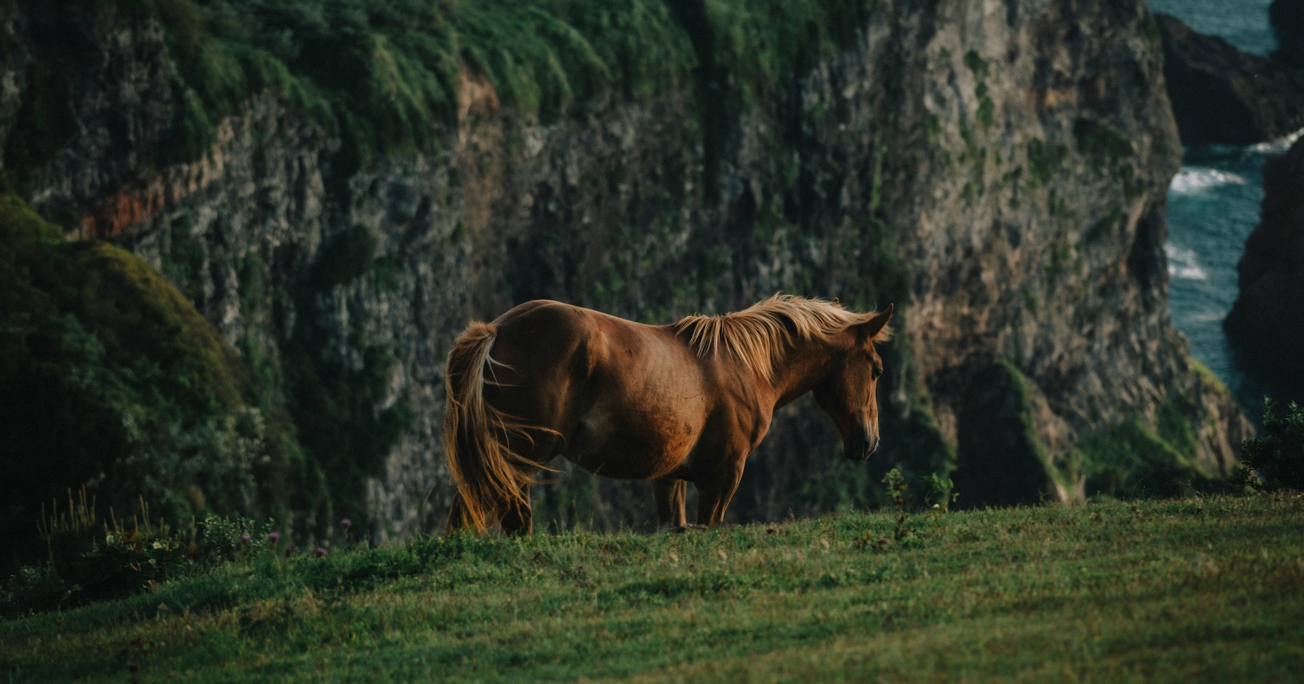 Scenes to Discuss with Horse Lovers | Focus #176