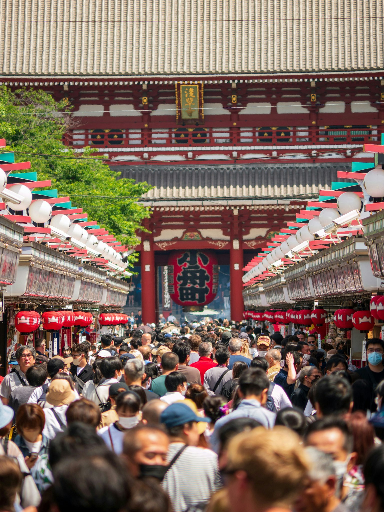 2025-06-depth-report-image-5