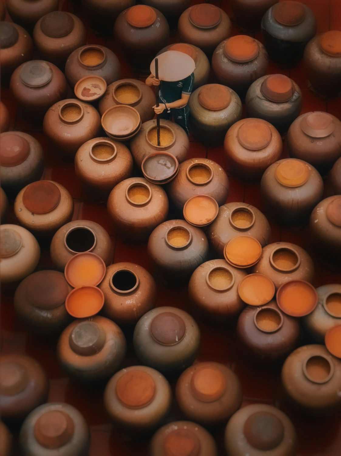 ©︎ Thea Mihu on IPPAWARDS 2023