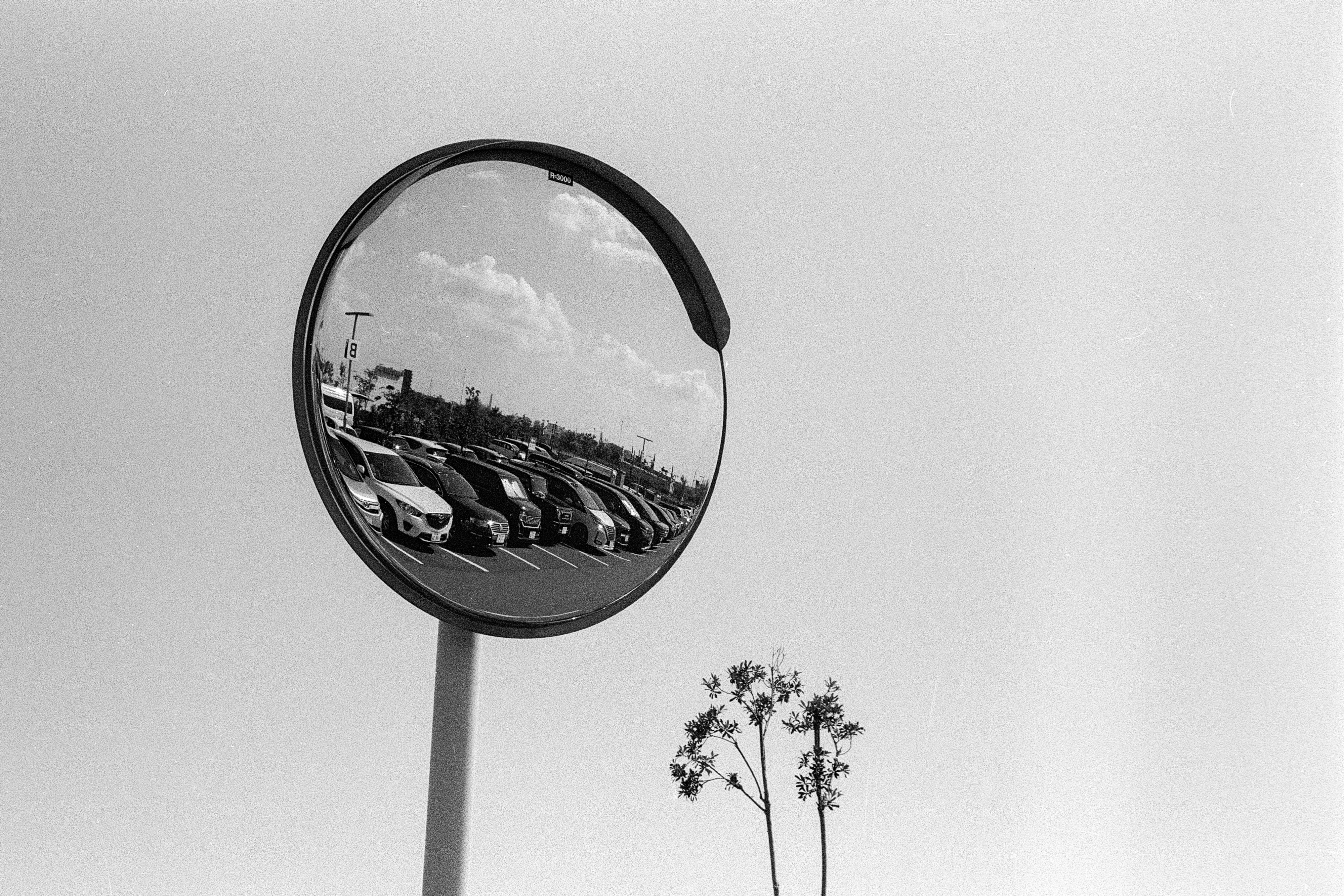 2026-04-between-light-shadow-cover-image