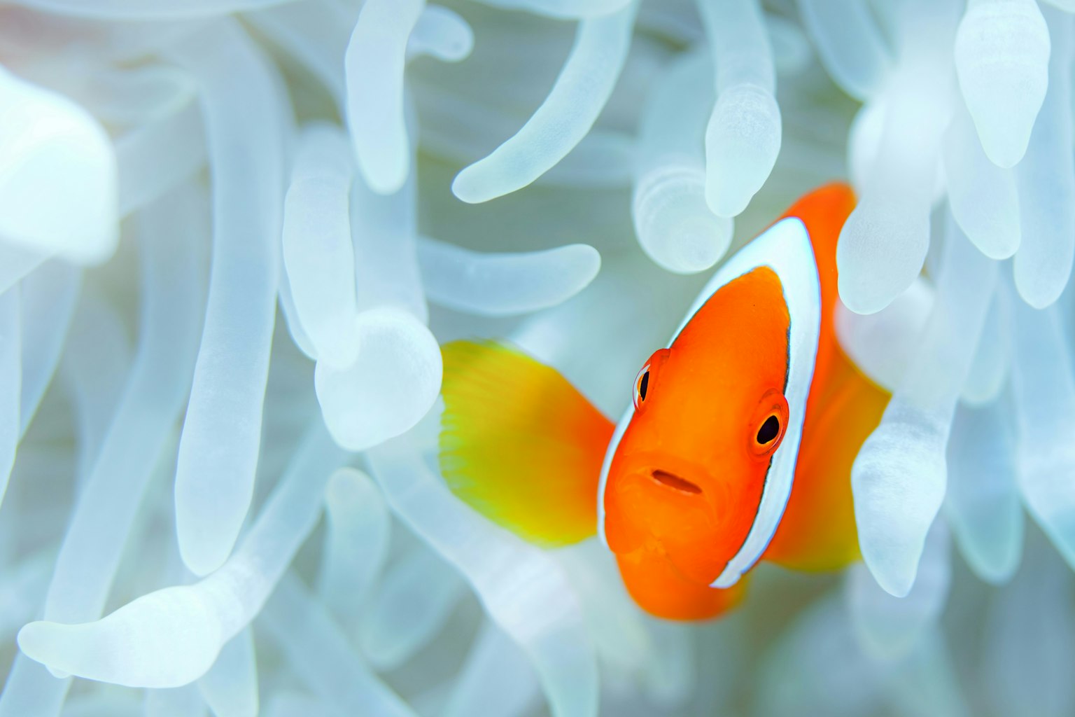 2025-04-masa-10-questions-image-6