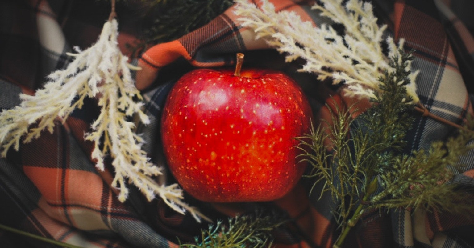 2025-11-november-diary-cover-image