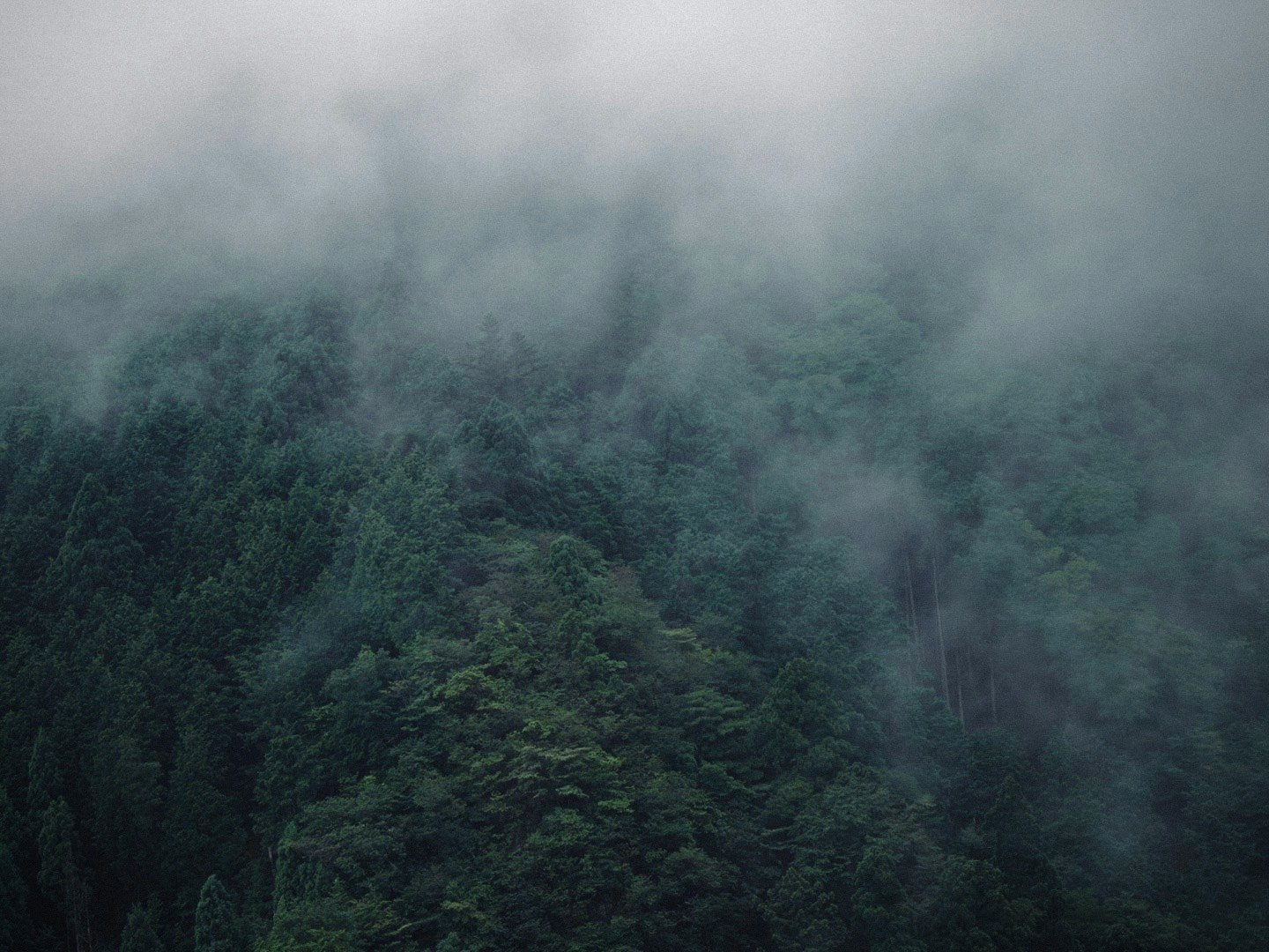 Image by saciiiko