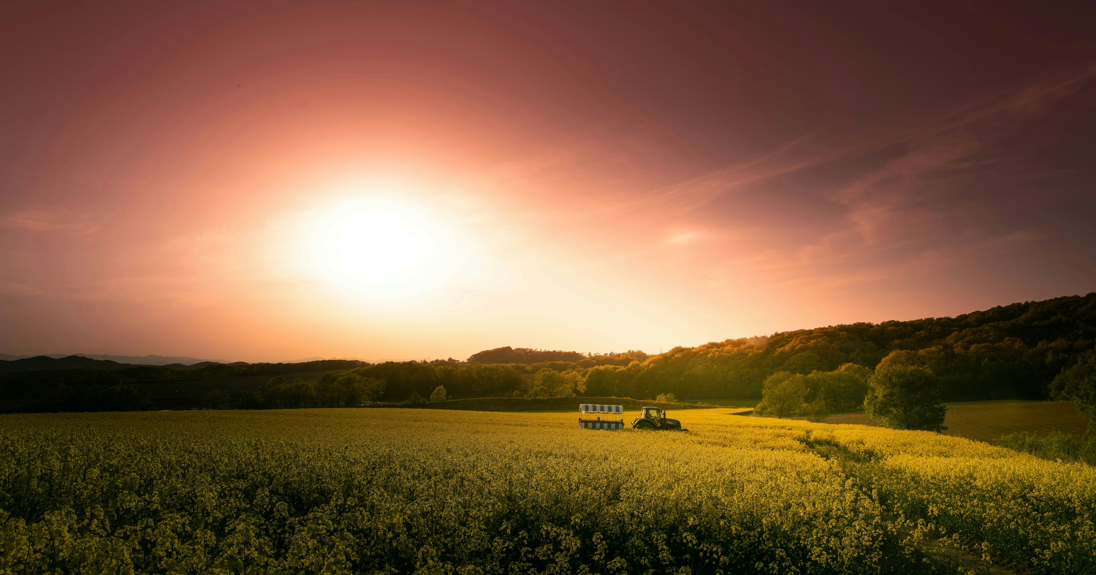2025-05-in-search-of-panorama-cover-image