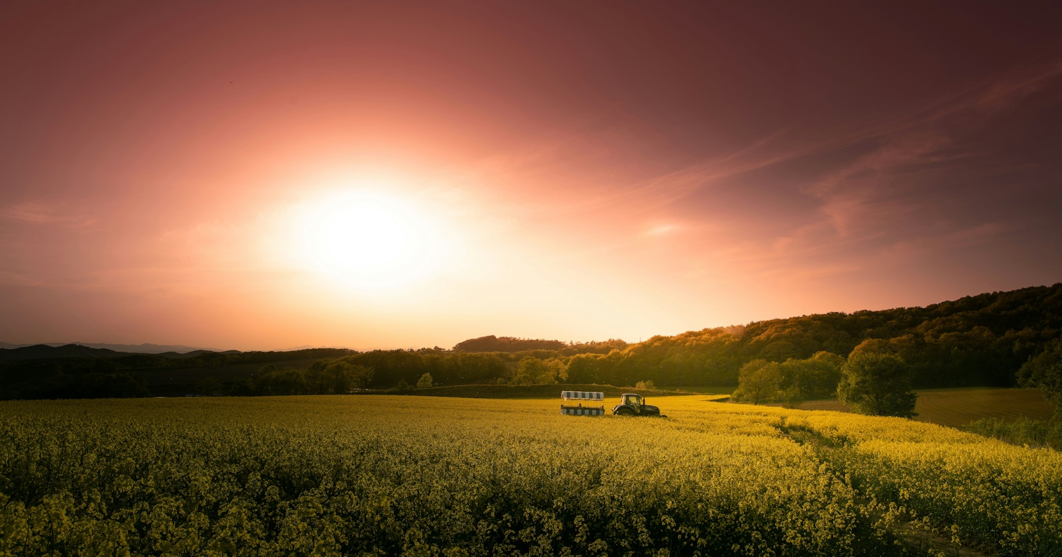 2025-05-in-search-of-panorama-cover-image