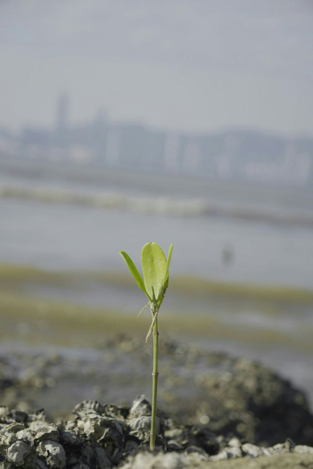 2026-05-find-new-pieces-spring-image-14