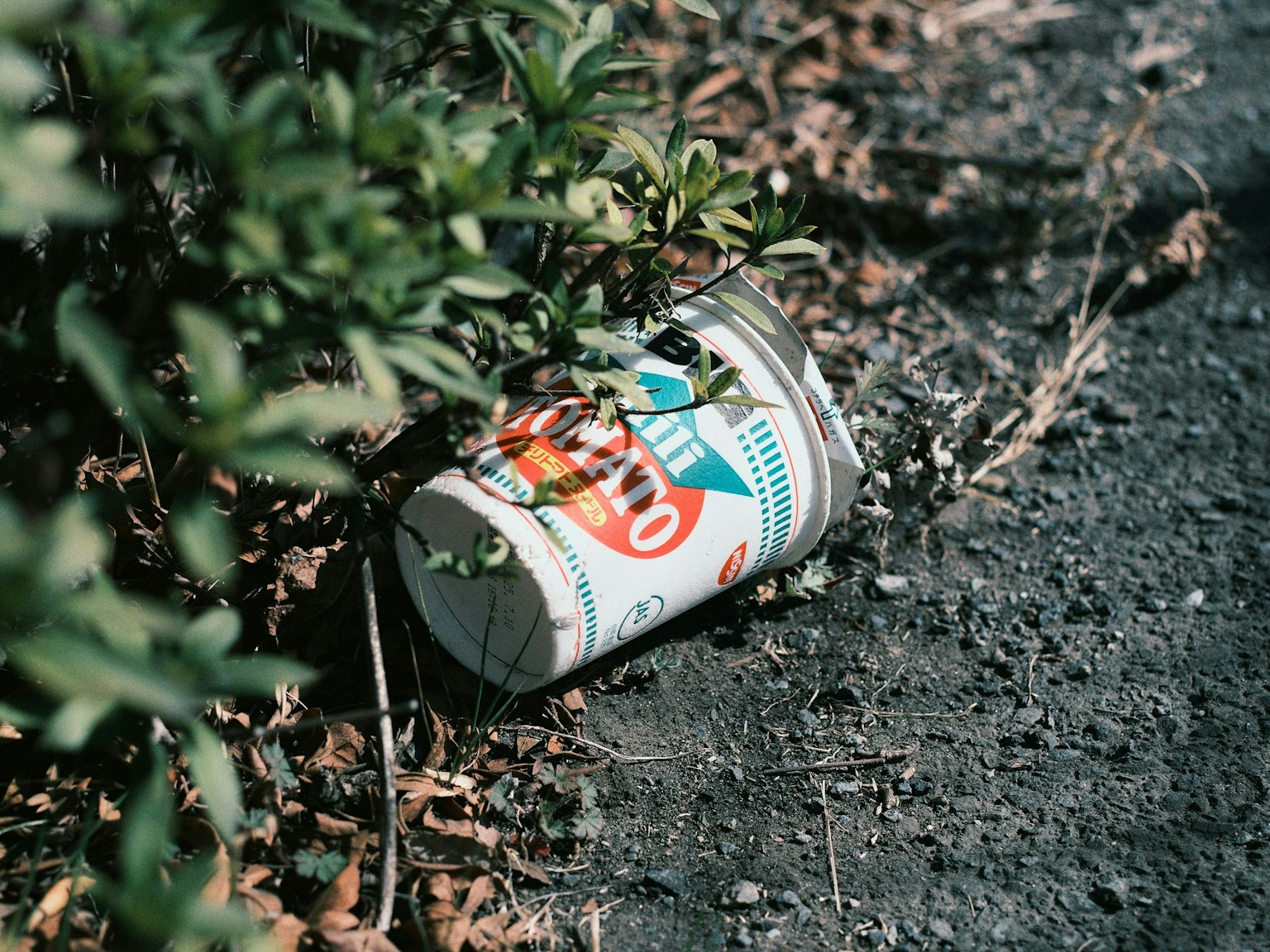 2025-03-hao-finds-special-in-daily-life-image-39