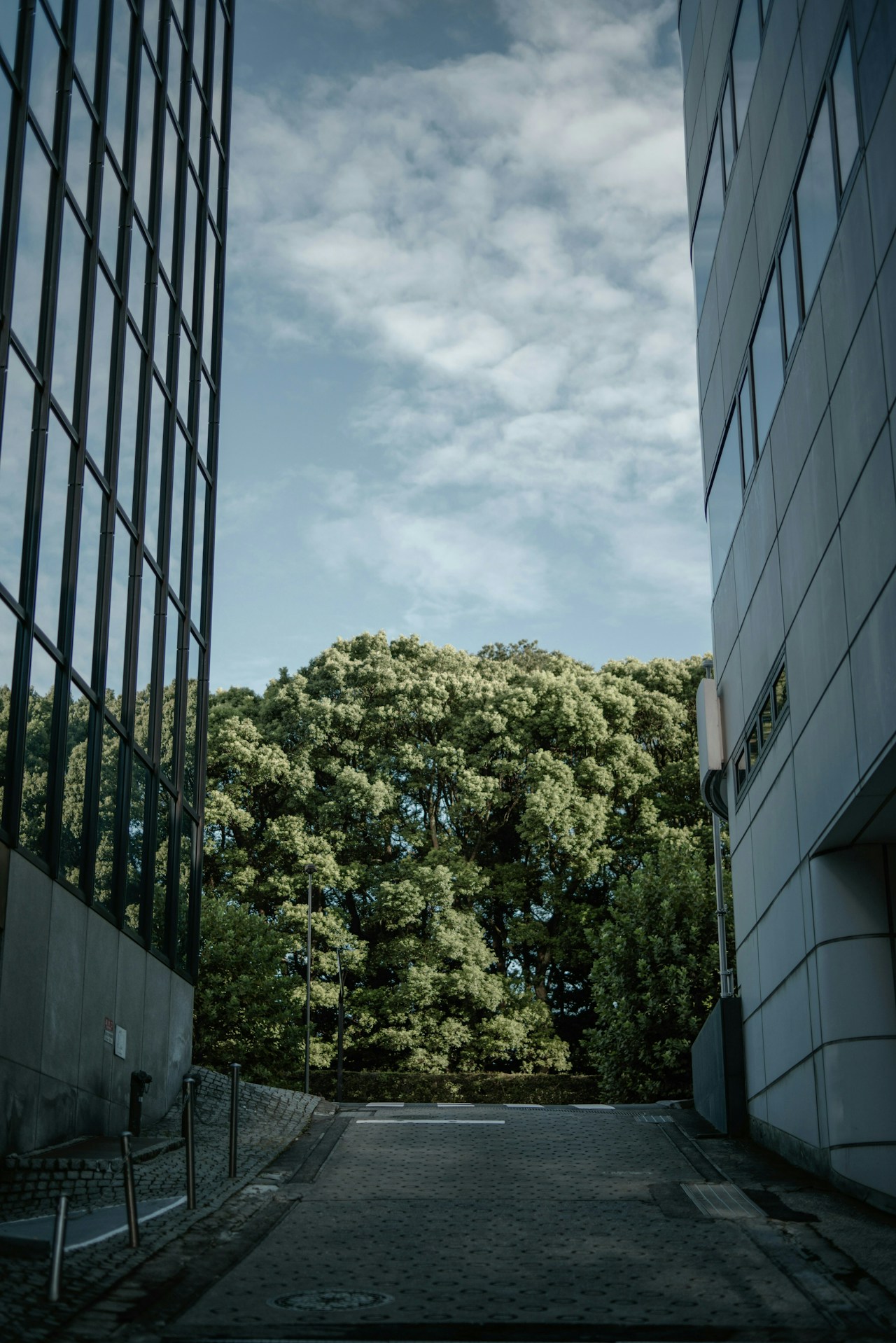 Foto por Tsubasa Mfg