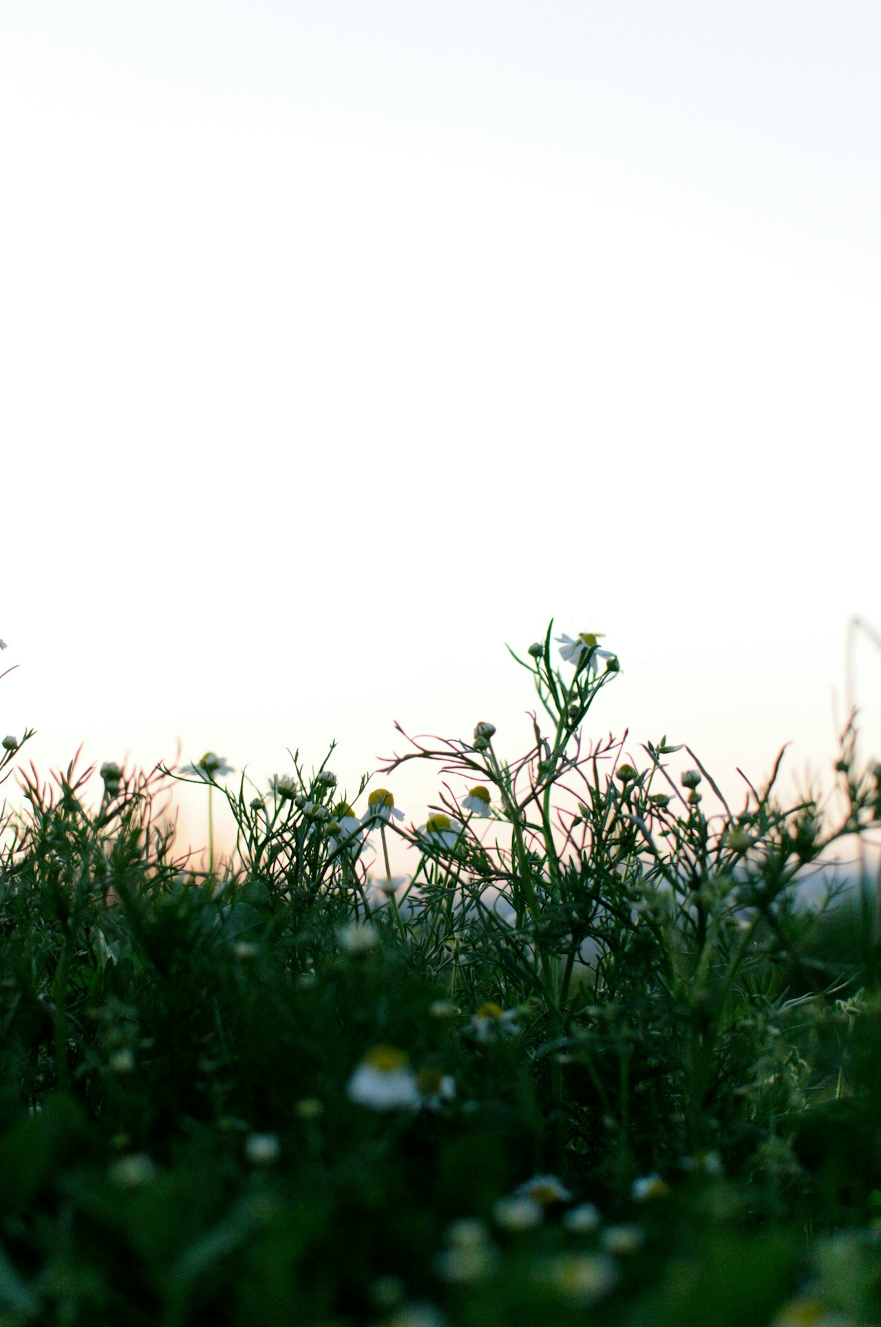 Photo by yNAK