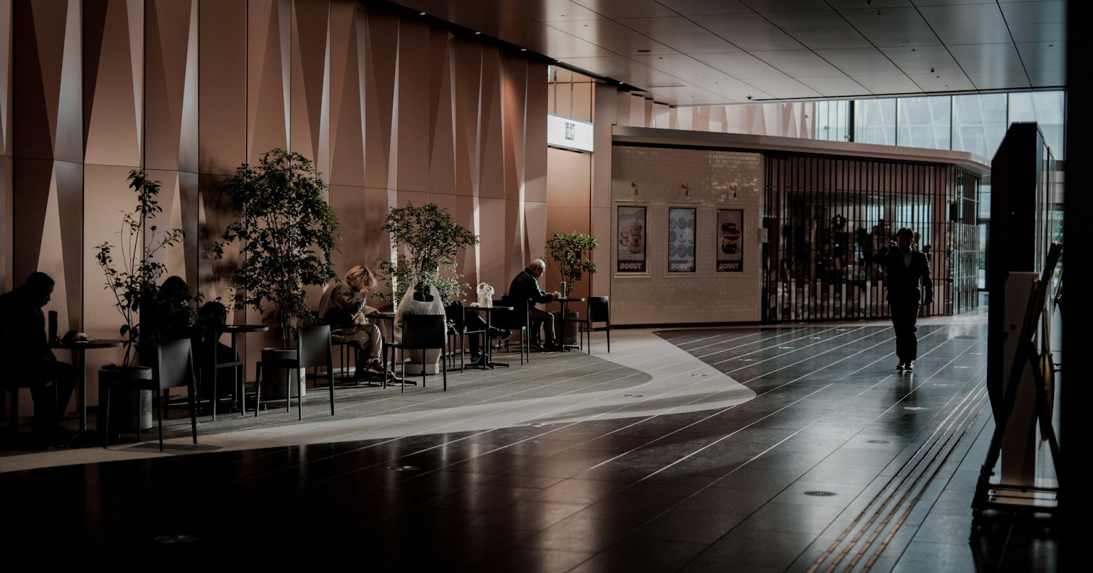 2025-01-tsubasa-chasing-light-and-shadow-cover-image