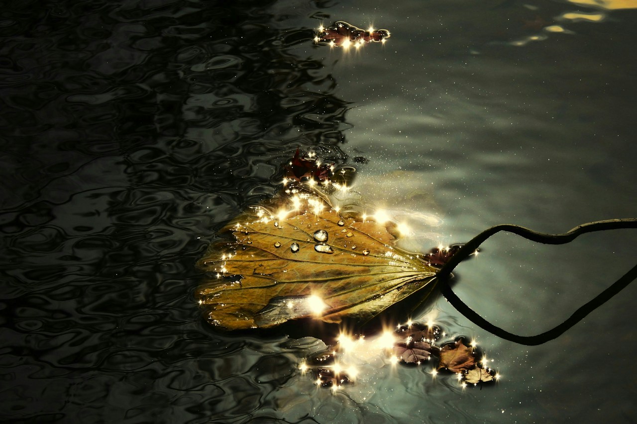 Photo by kahoru