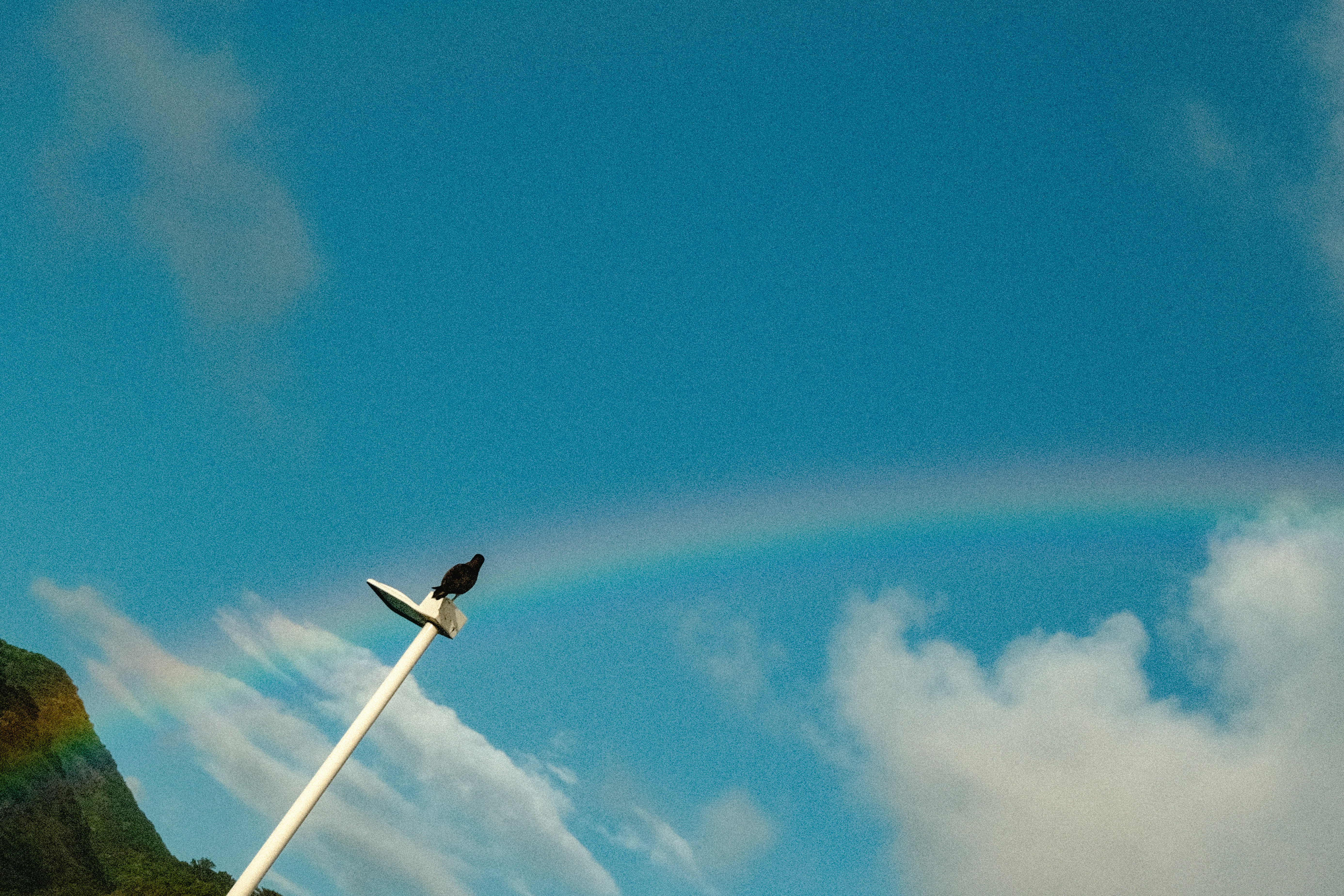 20260-04-blue-sky-negative-space-70-rule-cover-image