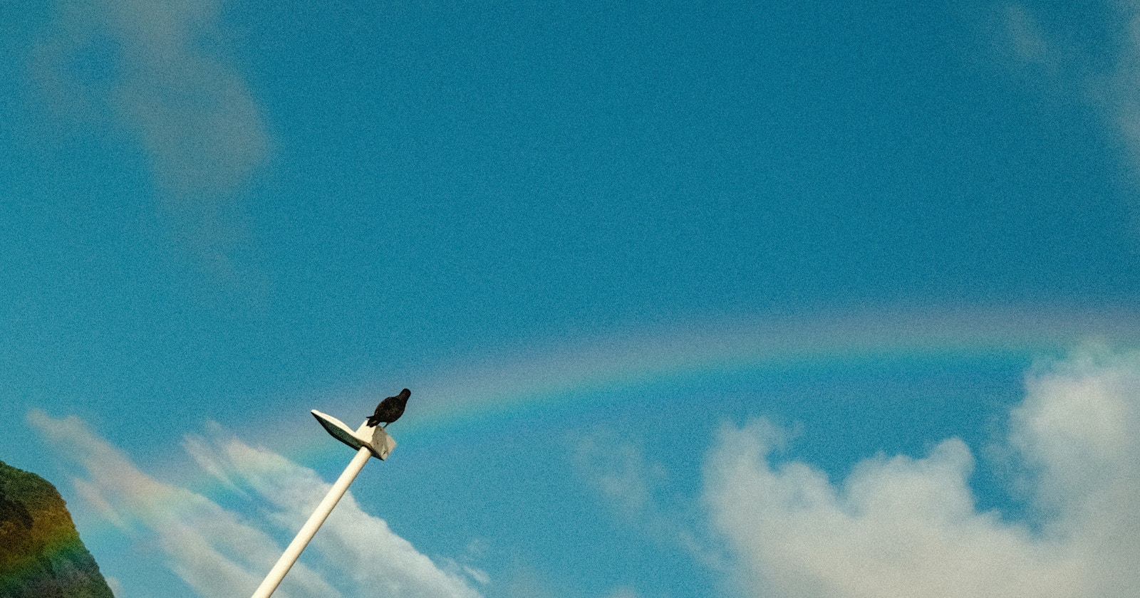 Let the Sky Take Center Stage! Capturing Negative Space with the 70% Rule | Knowledge #456
