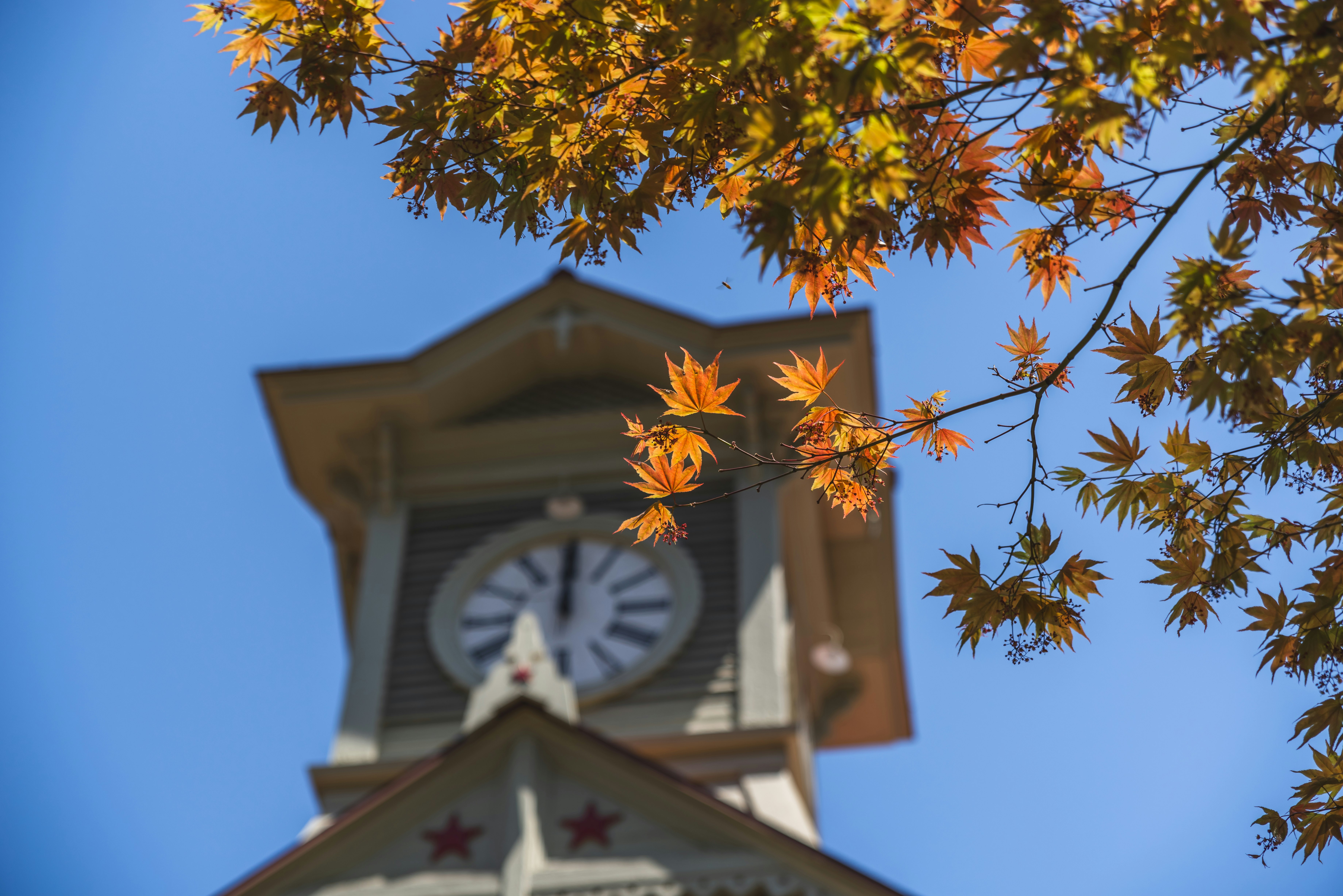 2026-03-ppp-in-sapporo-cover-image