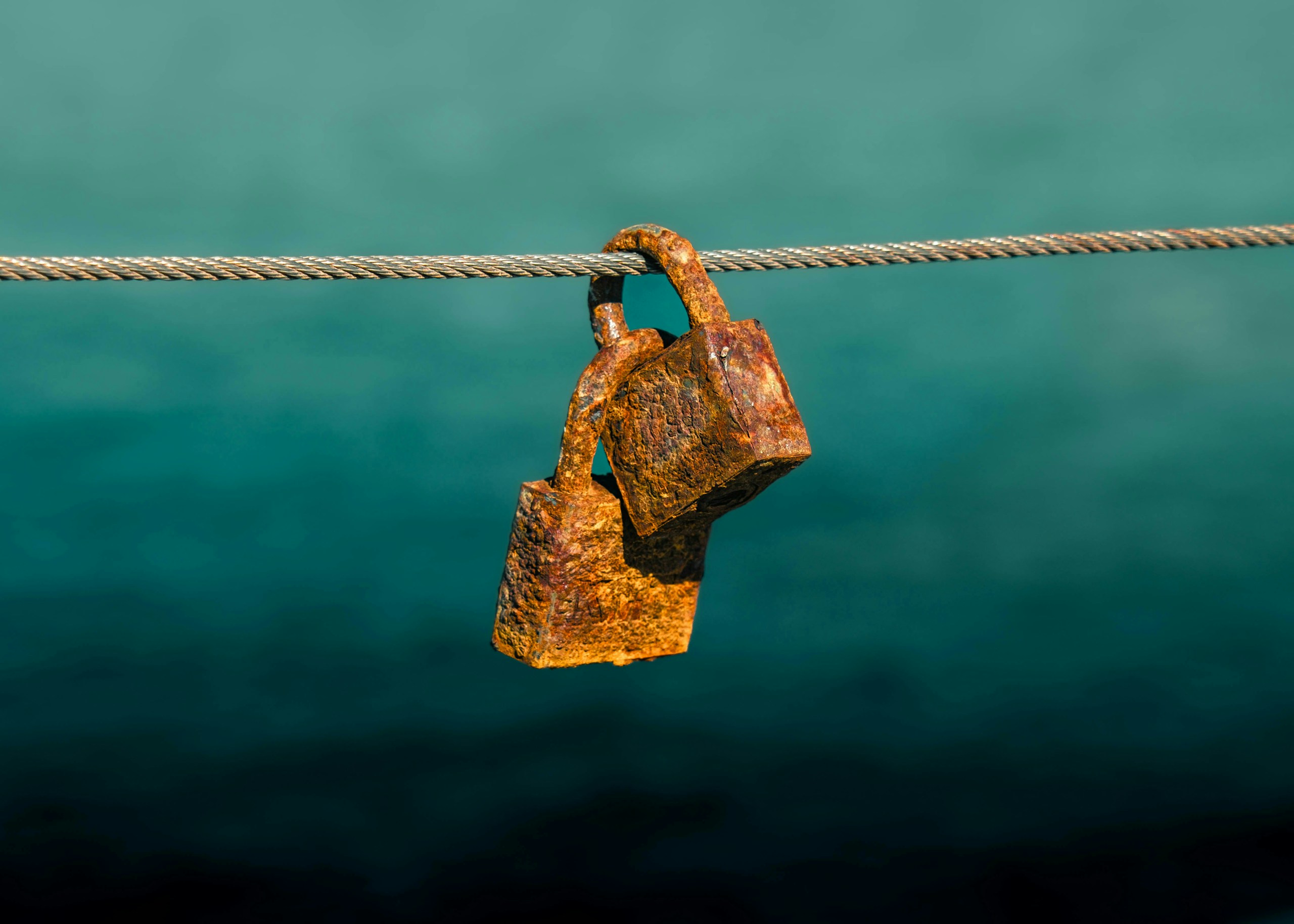 2026-05-still-life-award-image-8